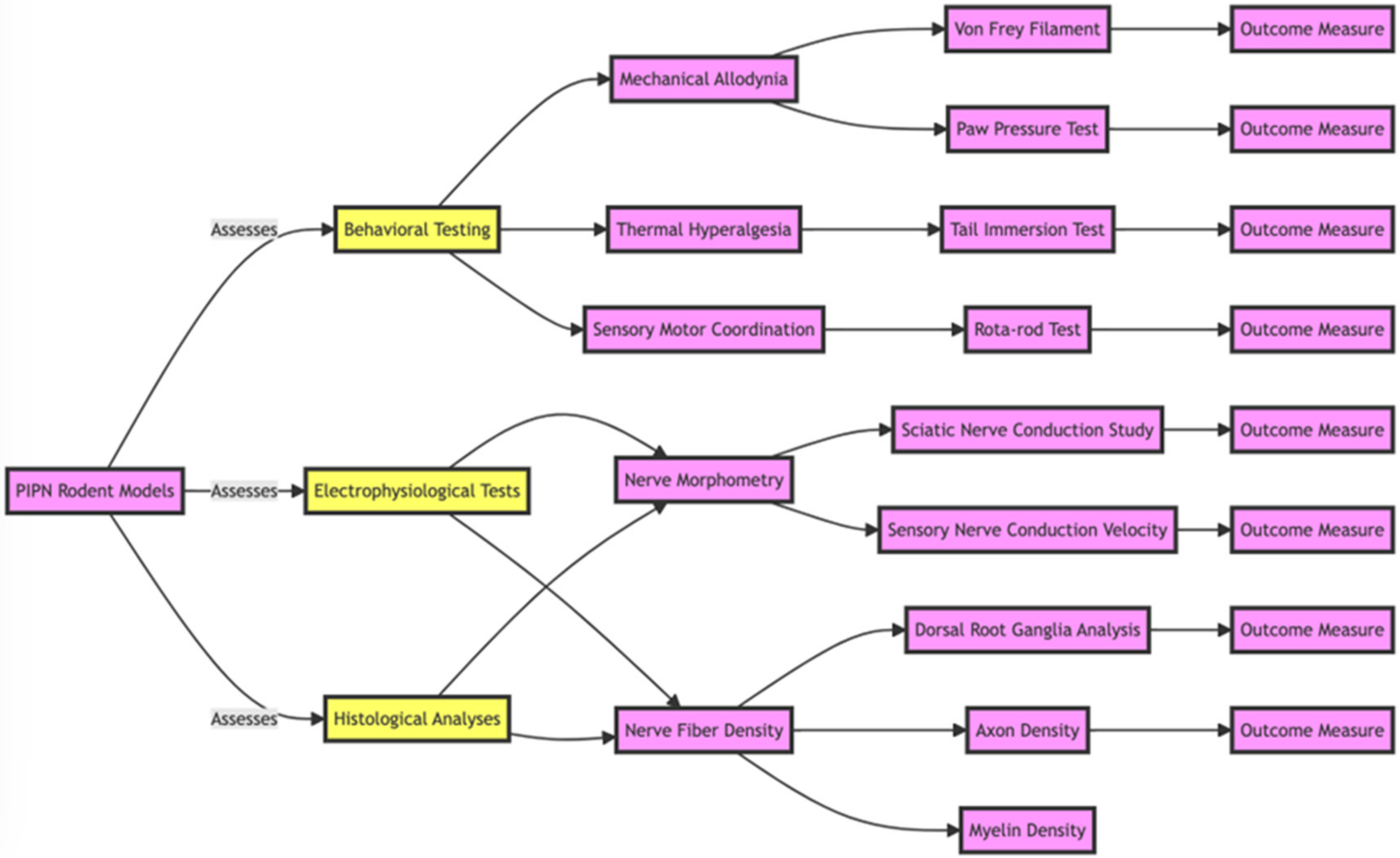 Pharmaceuticals 17 01010 g006