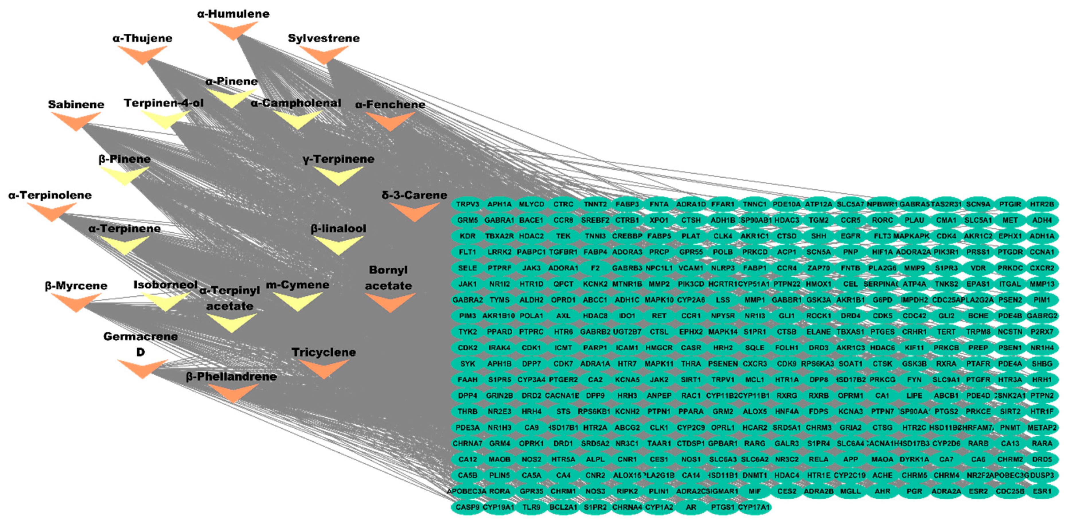 Pharmaceuticals 17 01019 g004