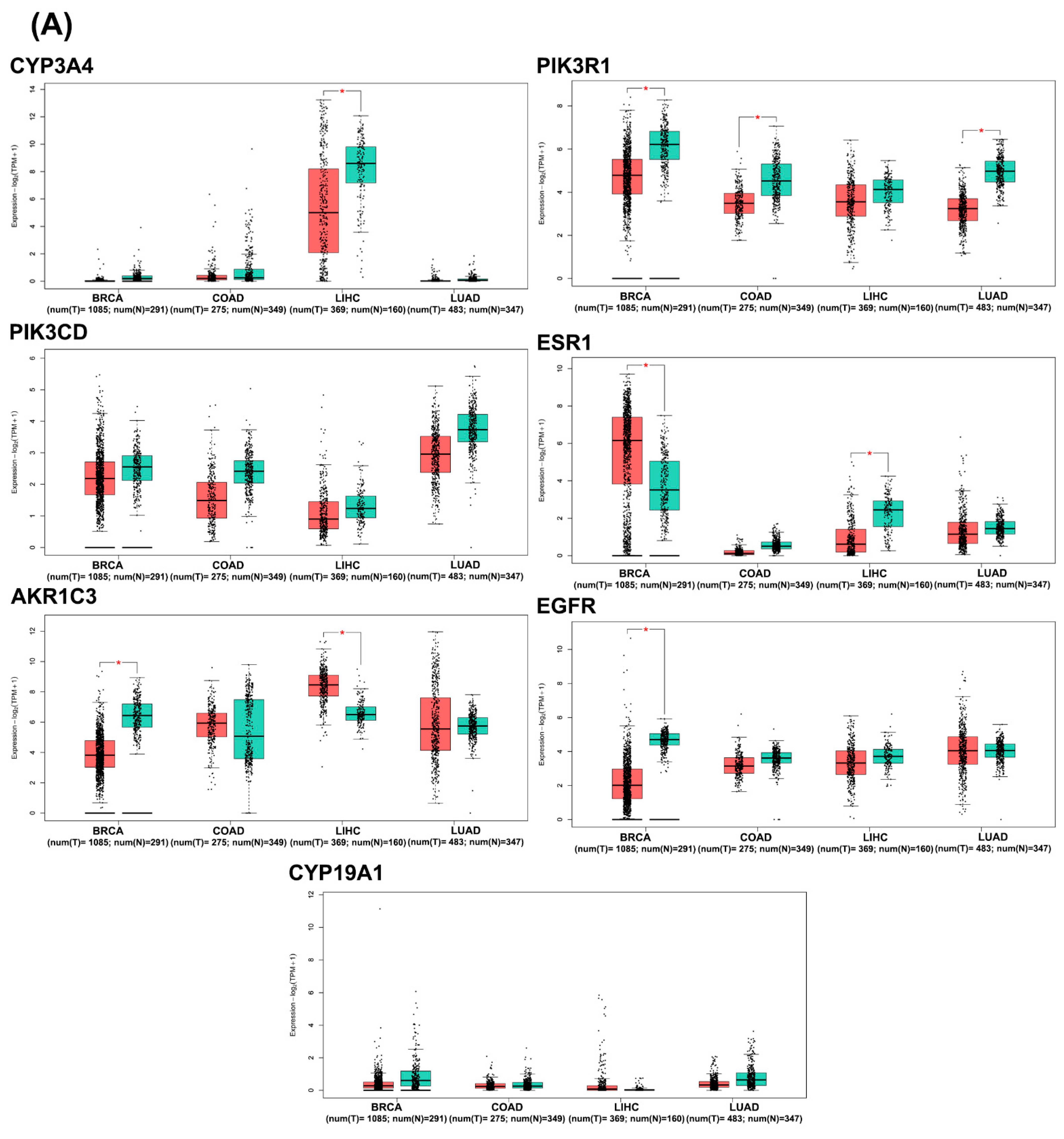 Pharmaceuticals 17 01019 g006a