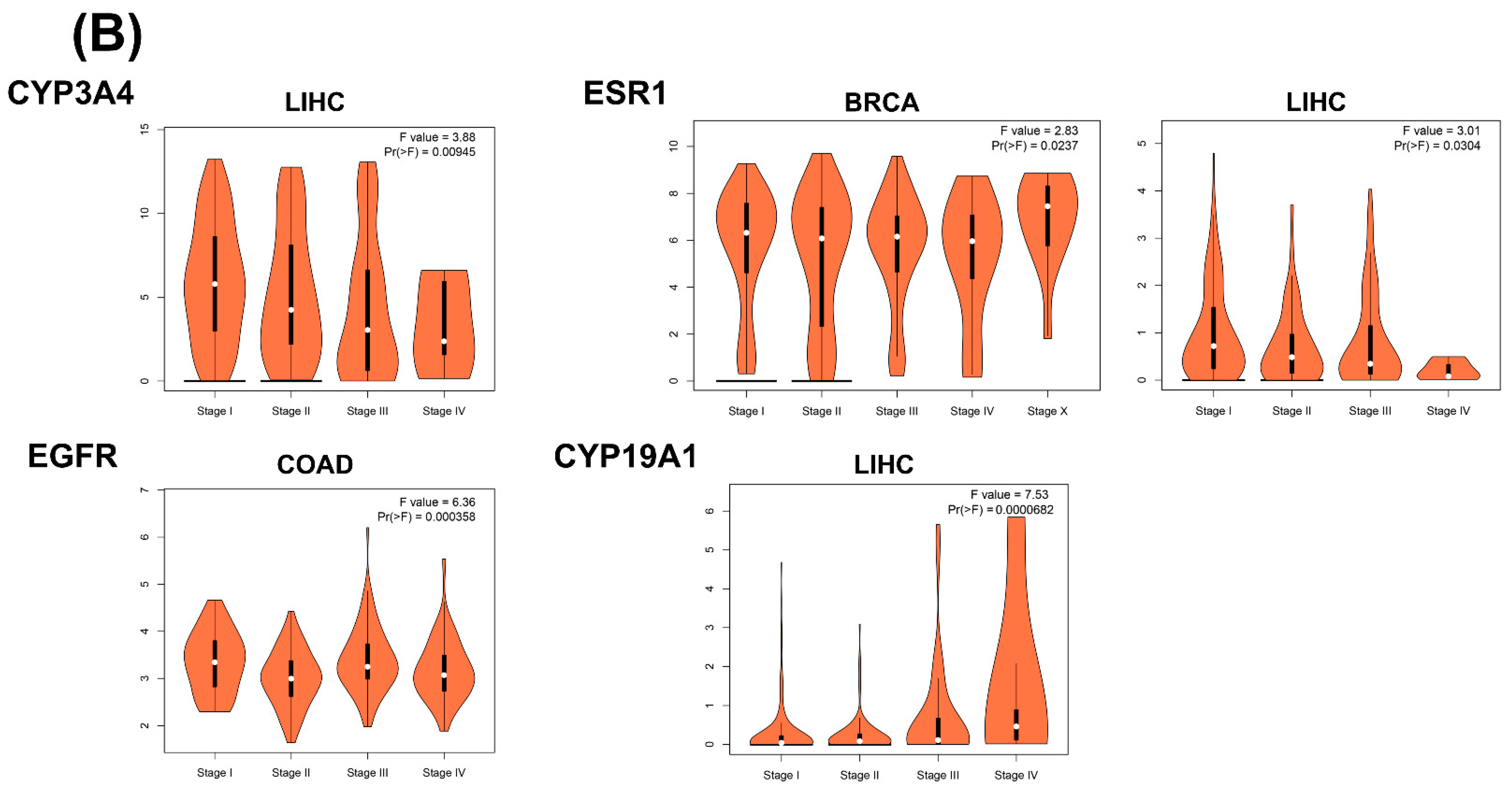 Pharmaceuticals 17 01019 g006b