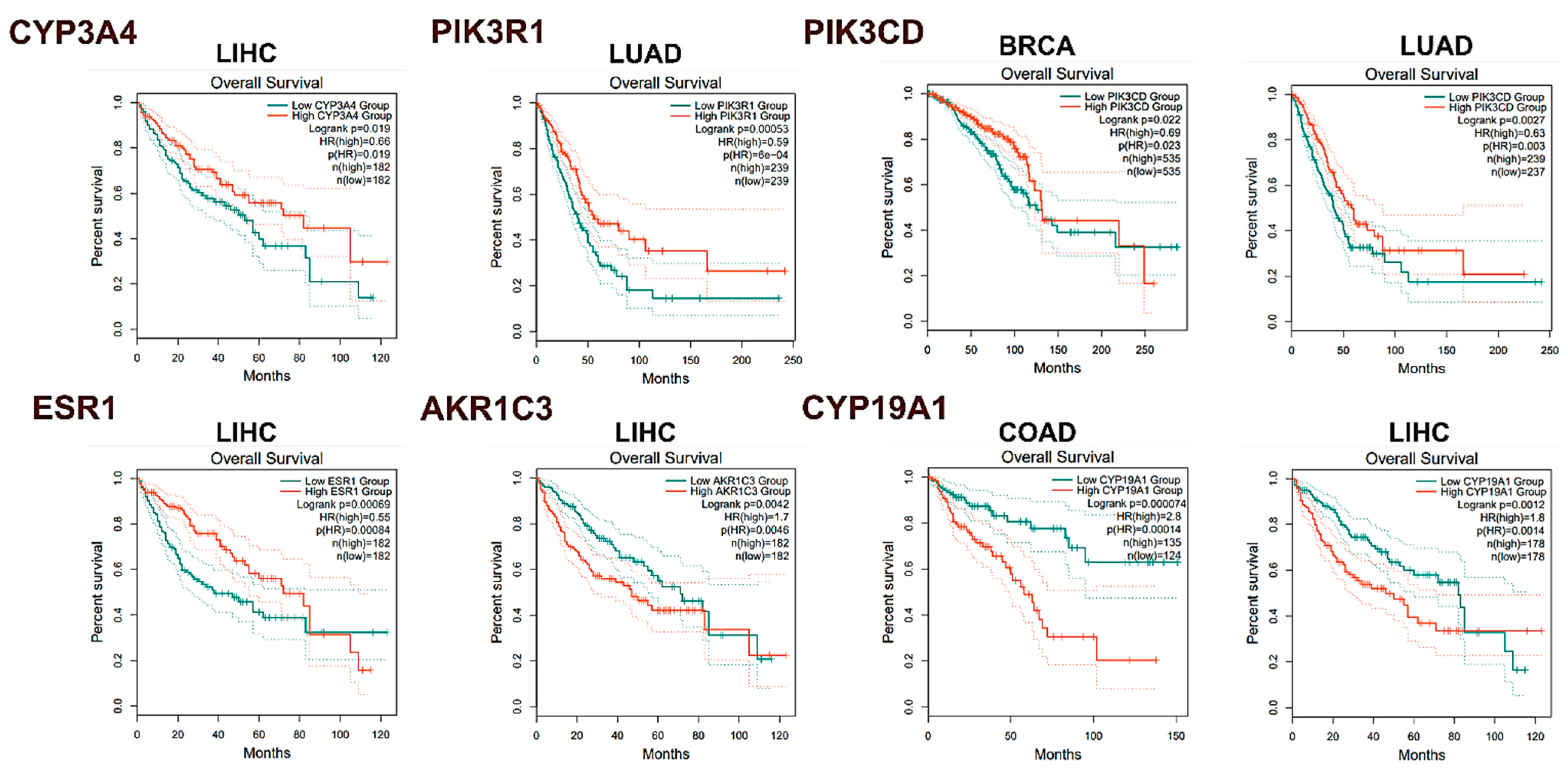 Pharmaceuticals 17 01019 g007