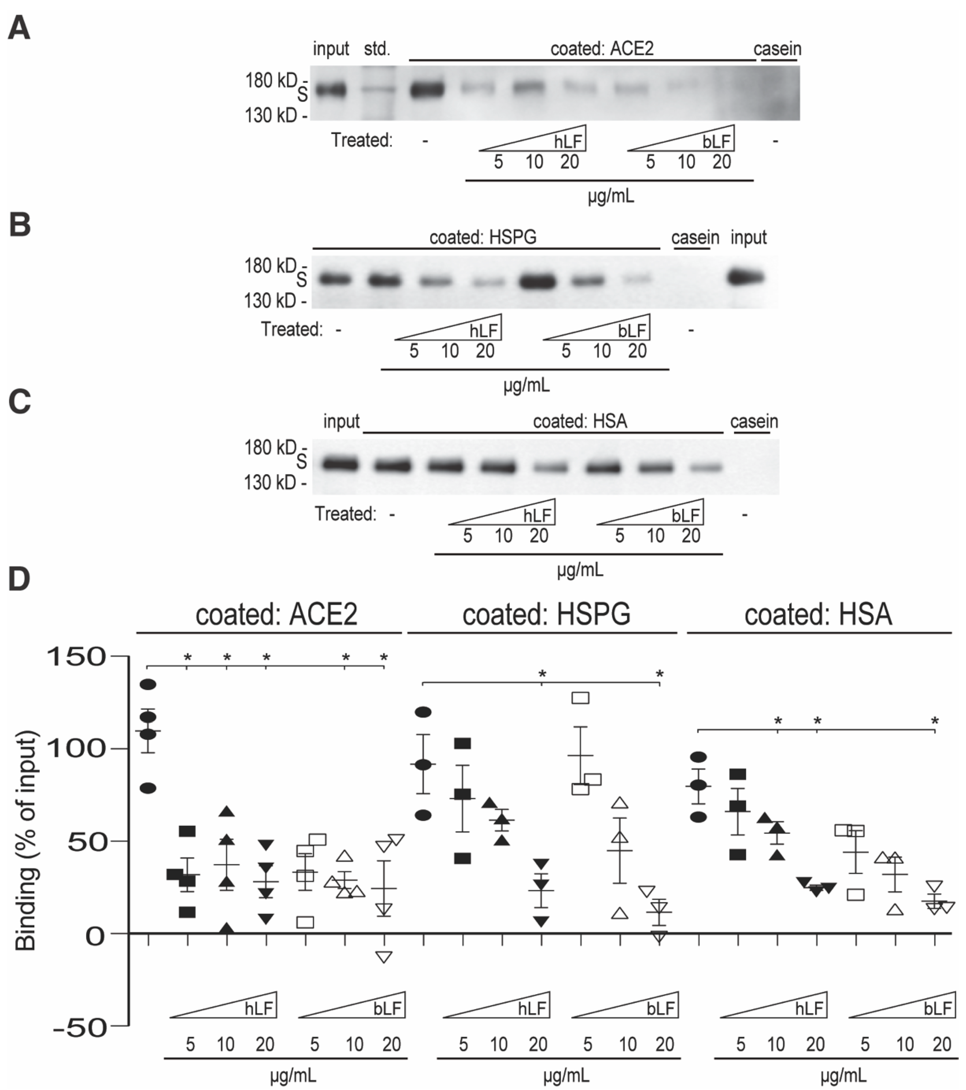 Pharmaceuticals 17 01021 g001