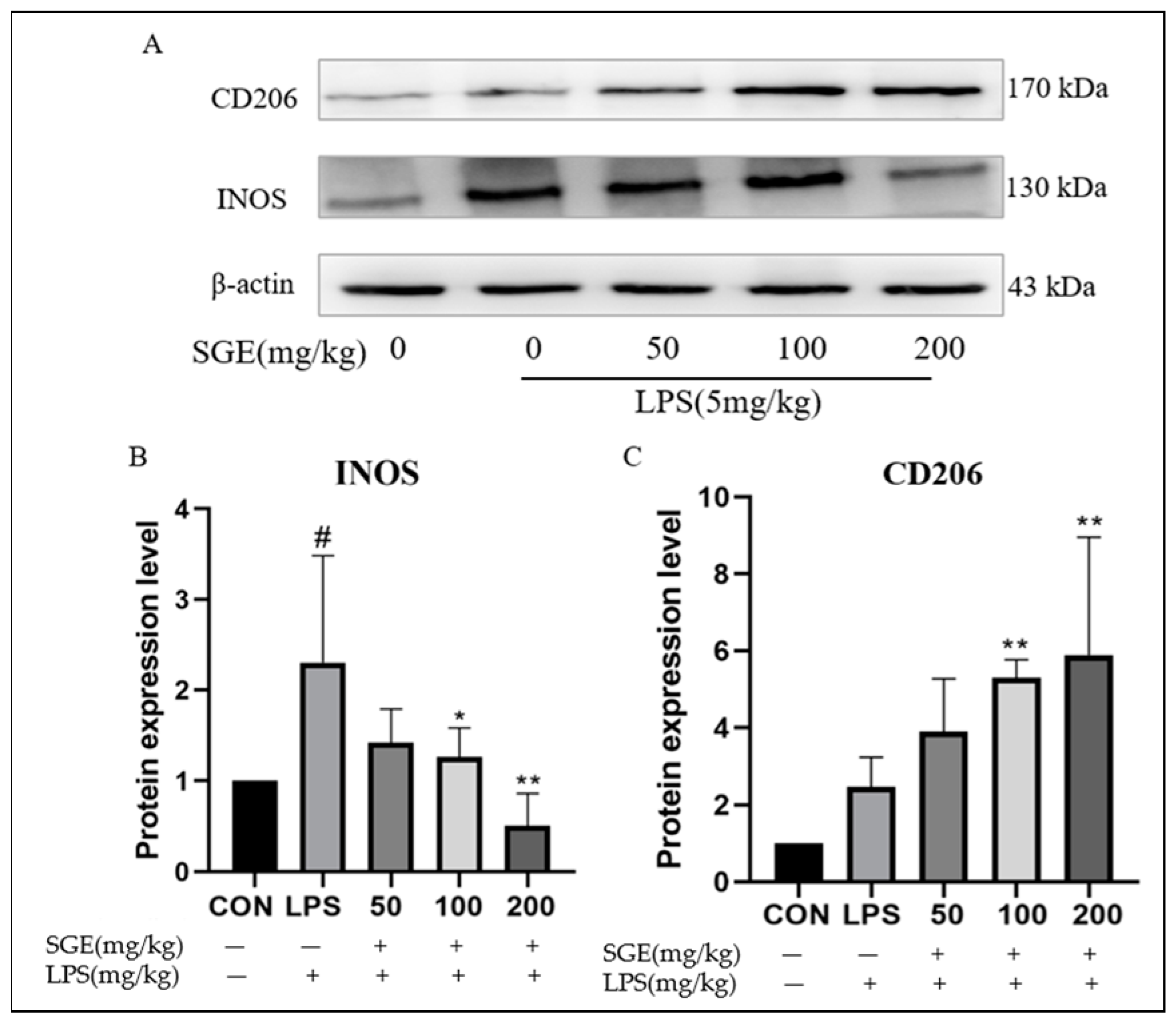 Pharmaceuticals 17 01023 g006