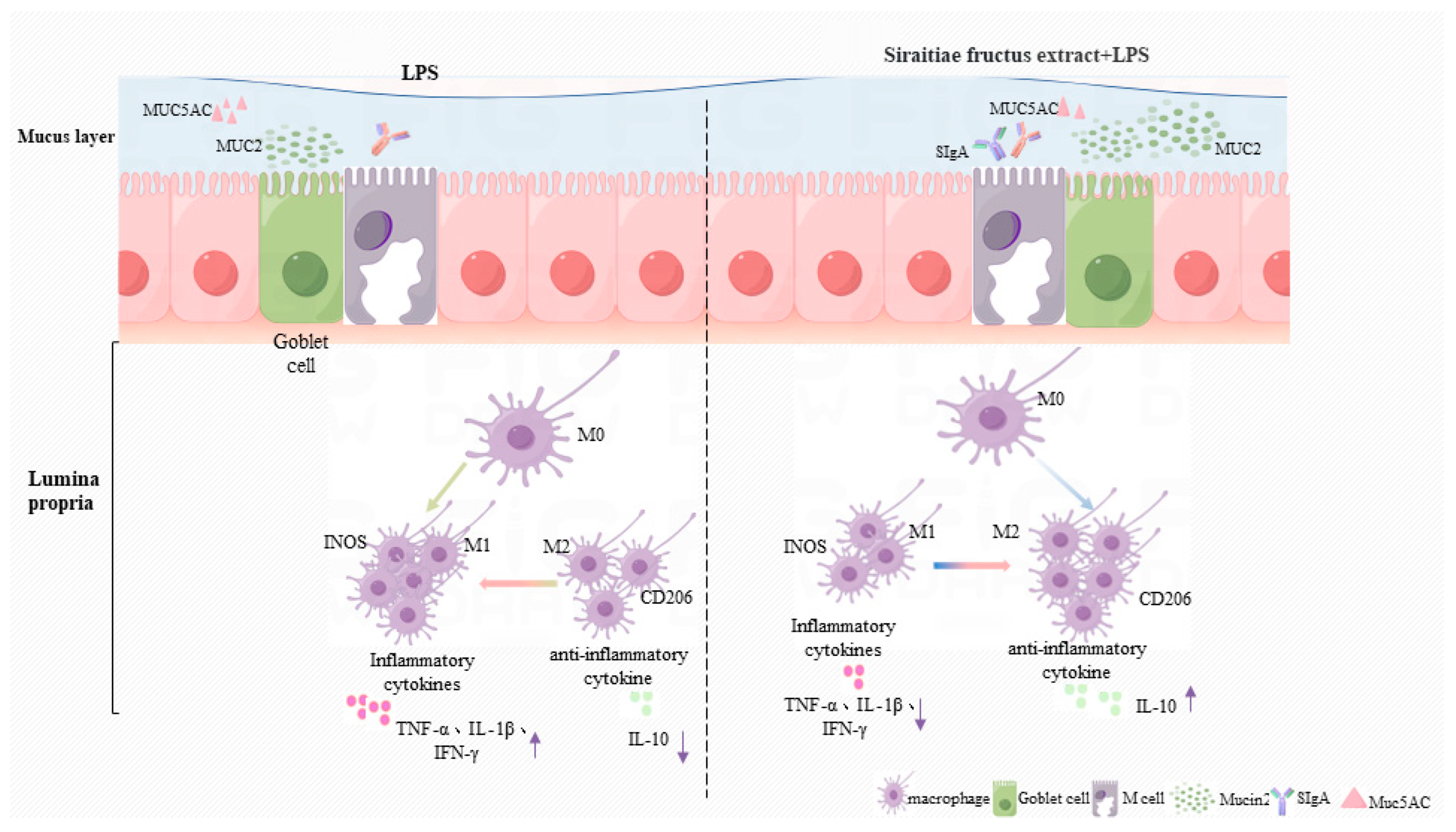 Pharmaceuticals 17 01023 g010