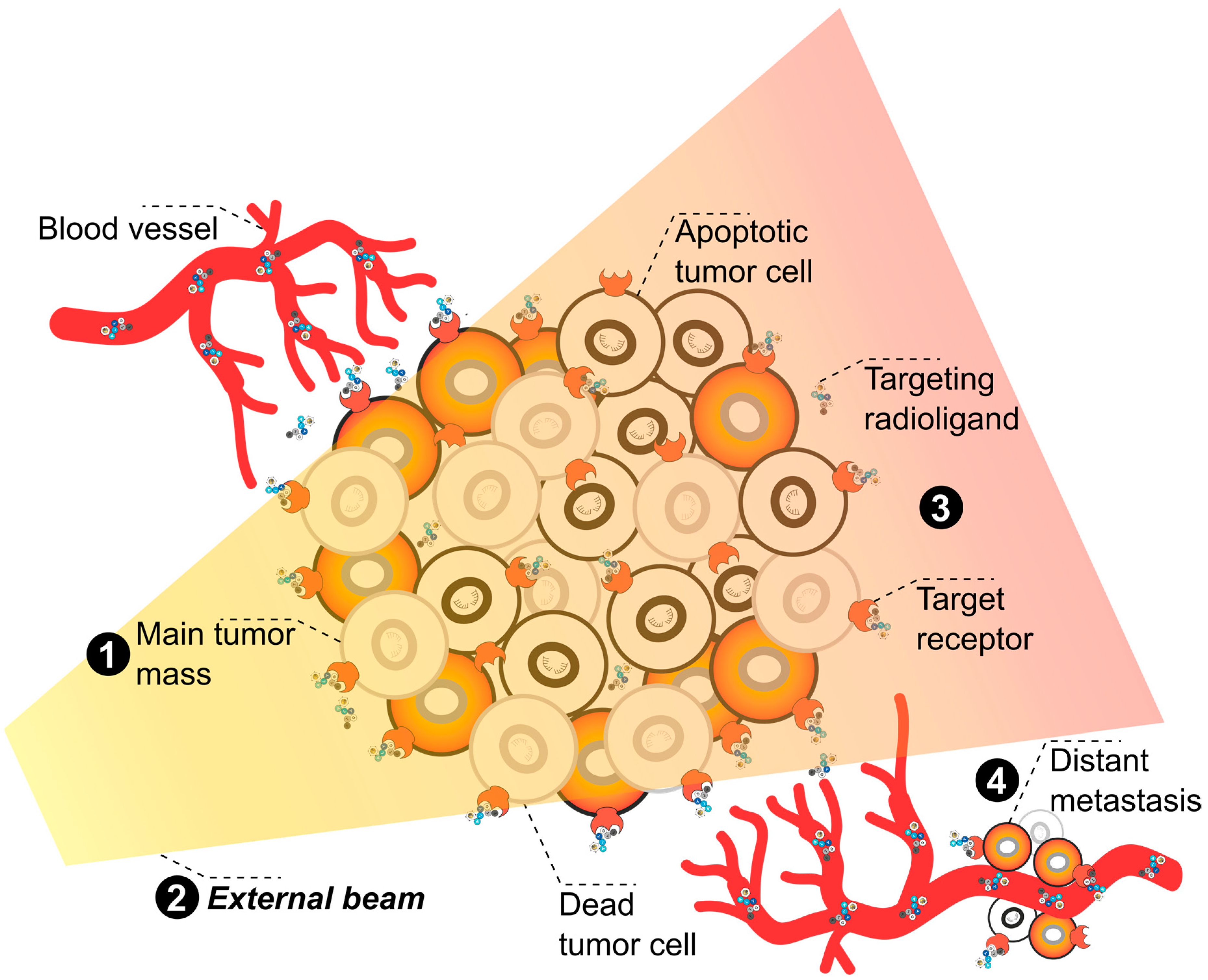Pharmaceuticals 17 01031 g003