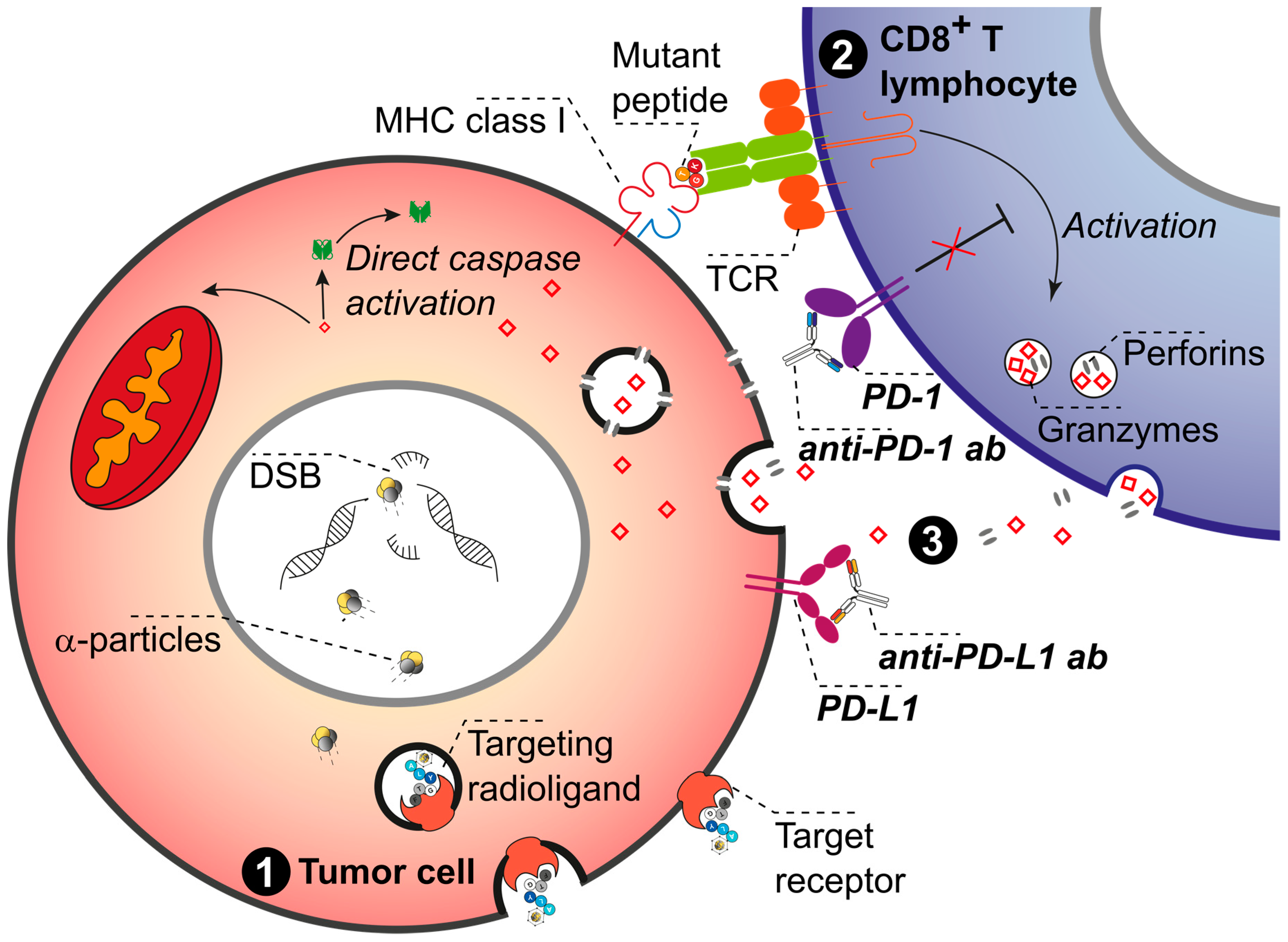 Pharmaceuticals 17 01031 g004