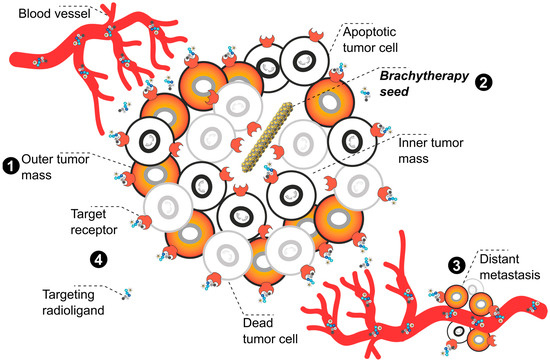 Pharmaceuticals 17 01031 g006