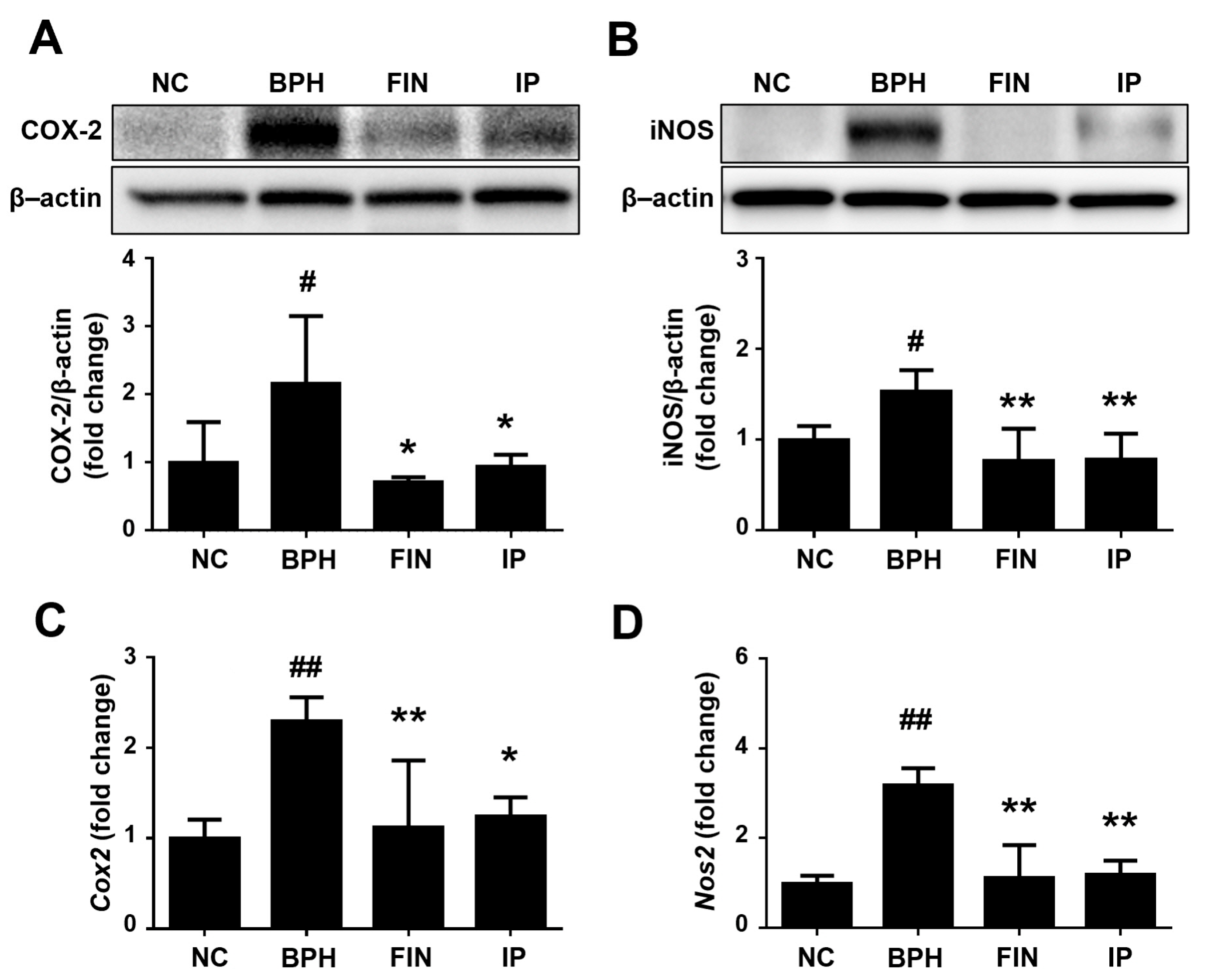 Pharmaceuticals 17 01032 g007