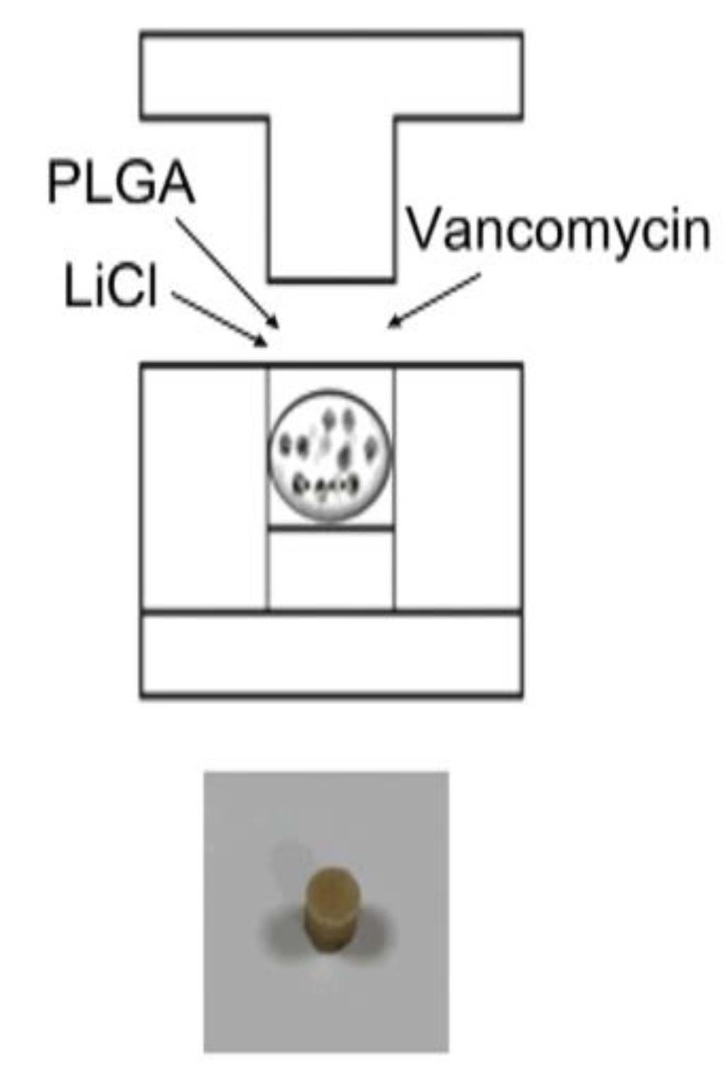 Pharmaceuticals 17 01038 g001