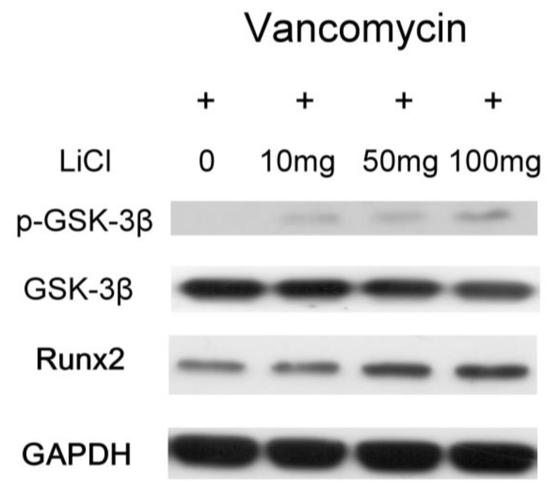 Pharmaceuticals 17 01038 g006