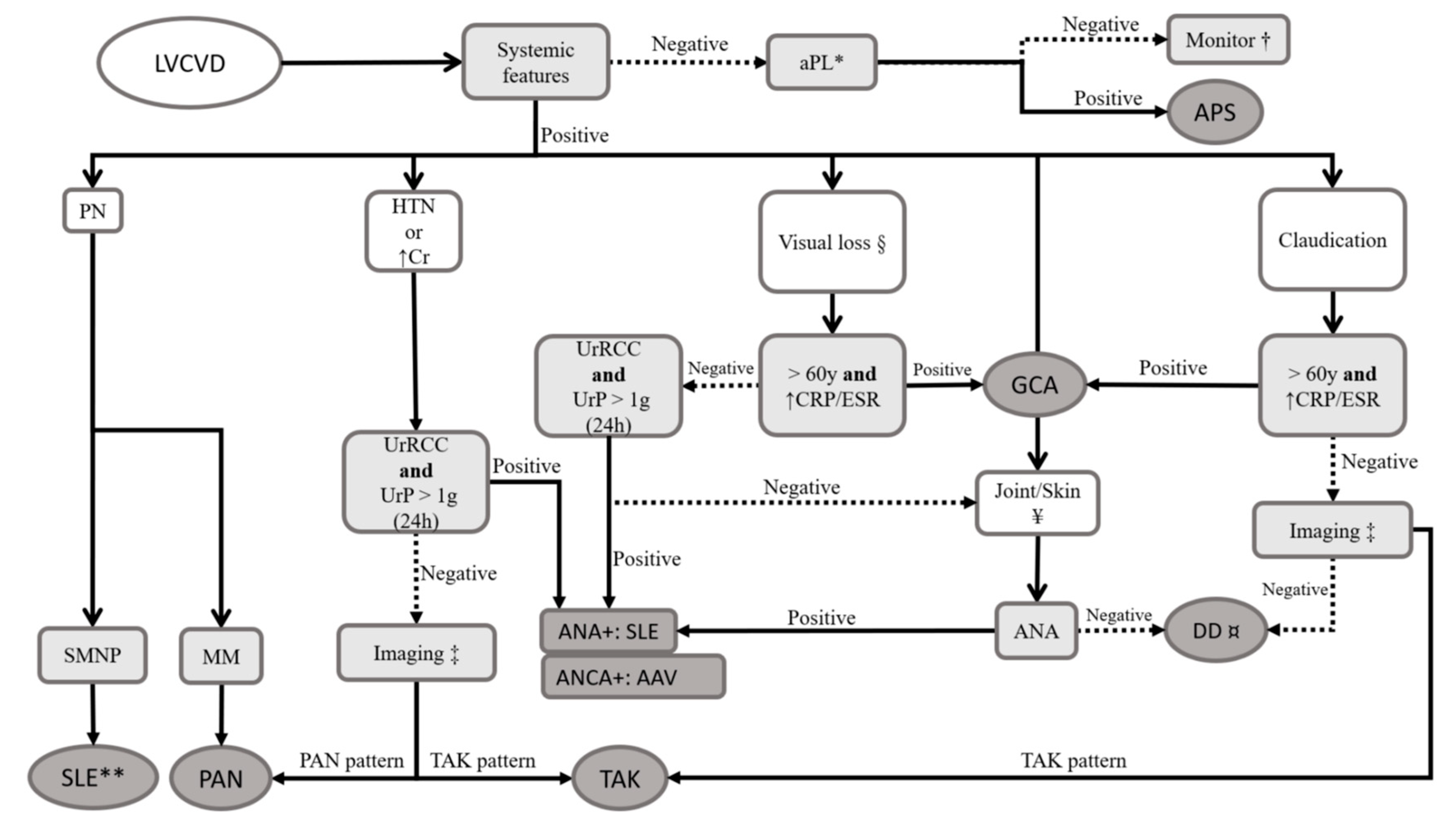 Pharmaceuticals 17 01044 g001