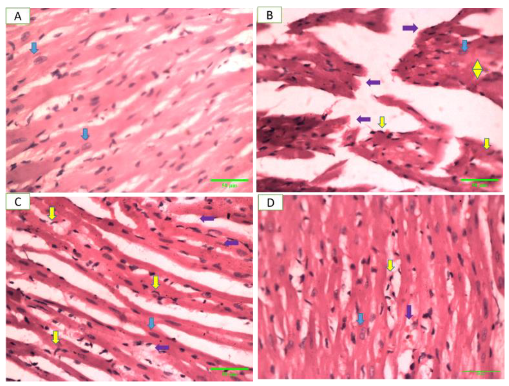 Pharmaceuticals 17 01046 g015