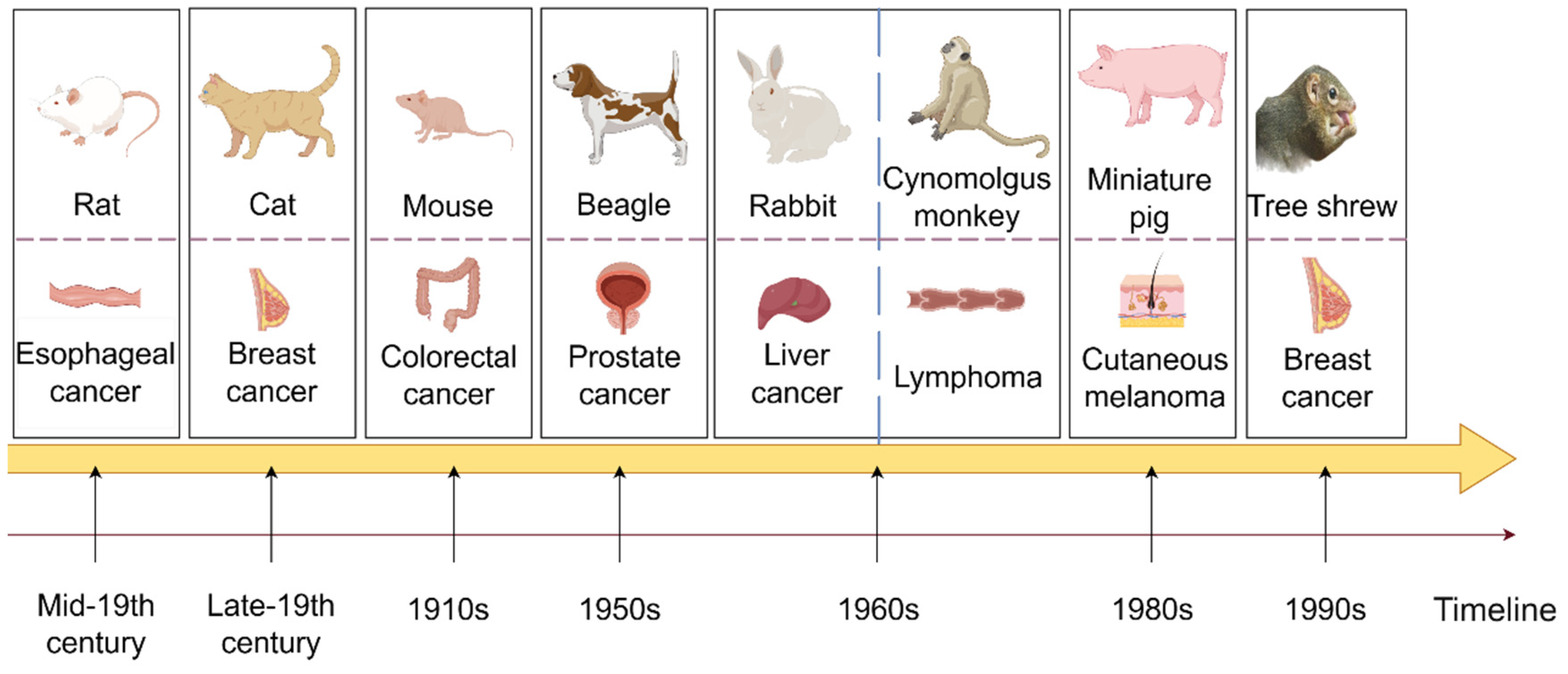 Pharmaceuticals 17 01048 g001