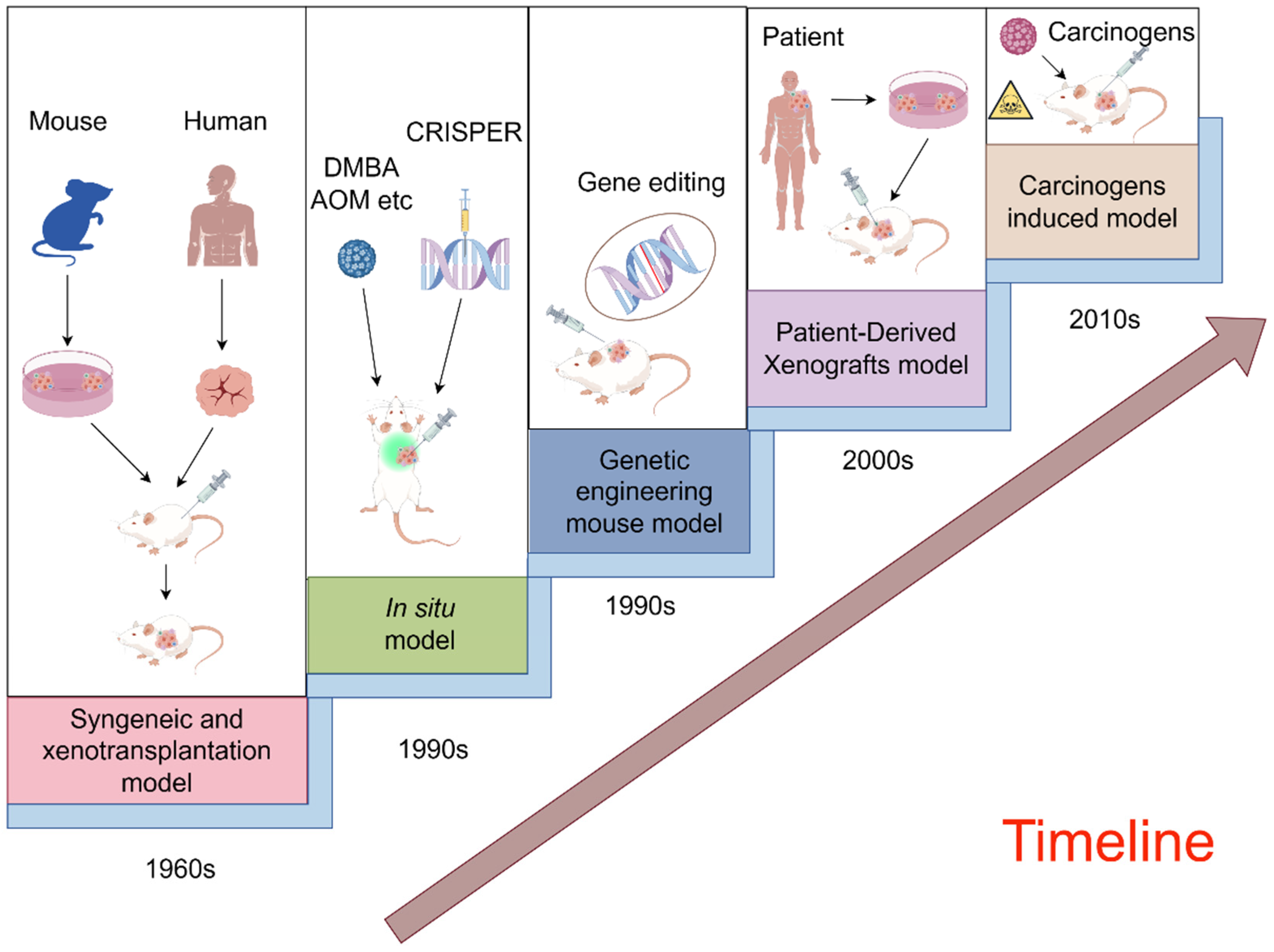 Pharmaceuticals 17 01048 g002