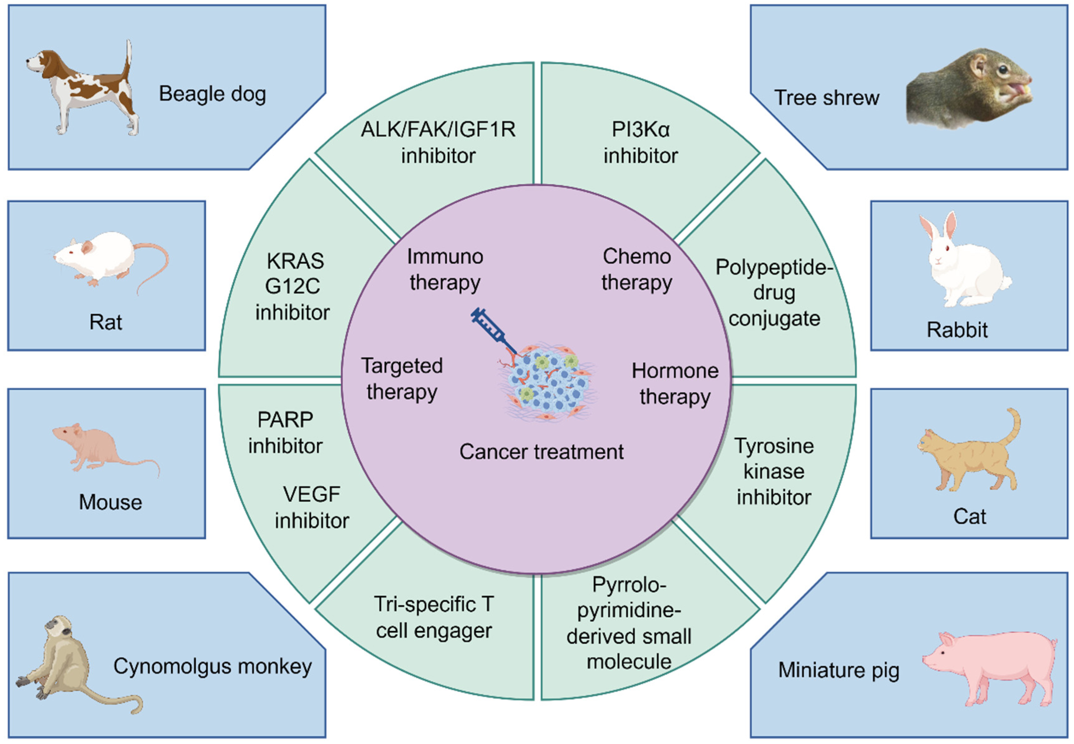 Pharmaceuticals 17 01048 g003