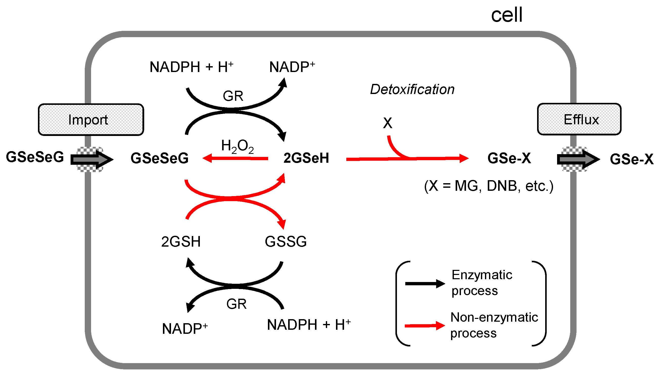 Pharmaceuticals 17 01049 g006
