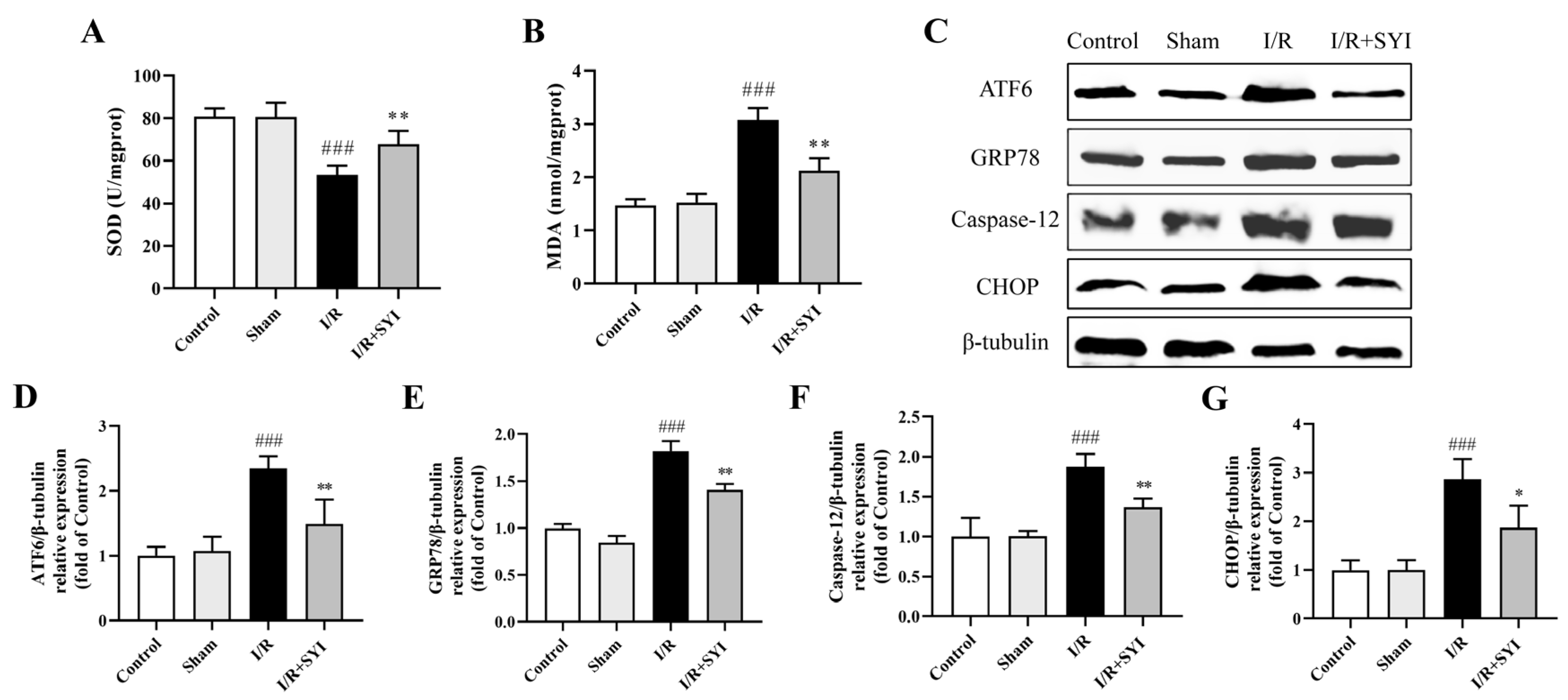 Pharmaceuticals 17 01058 g003