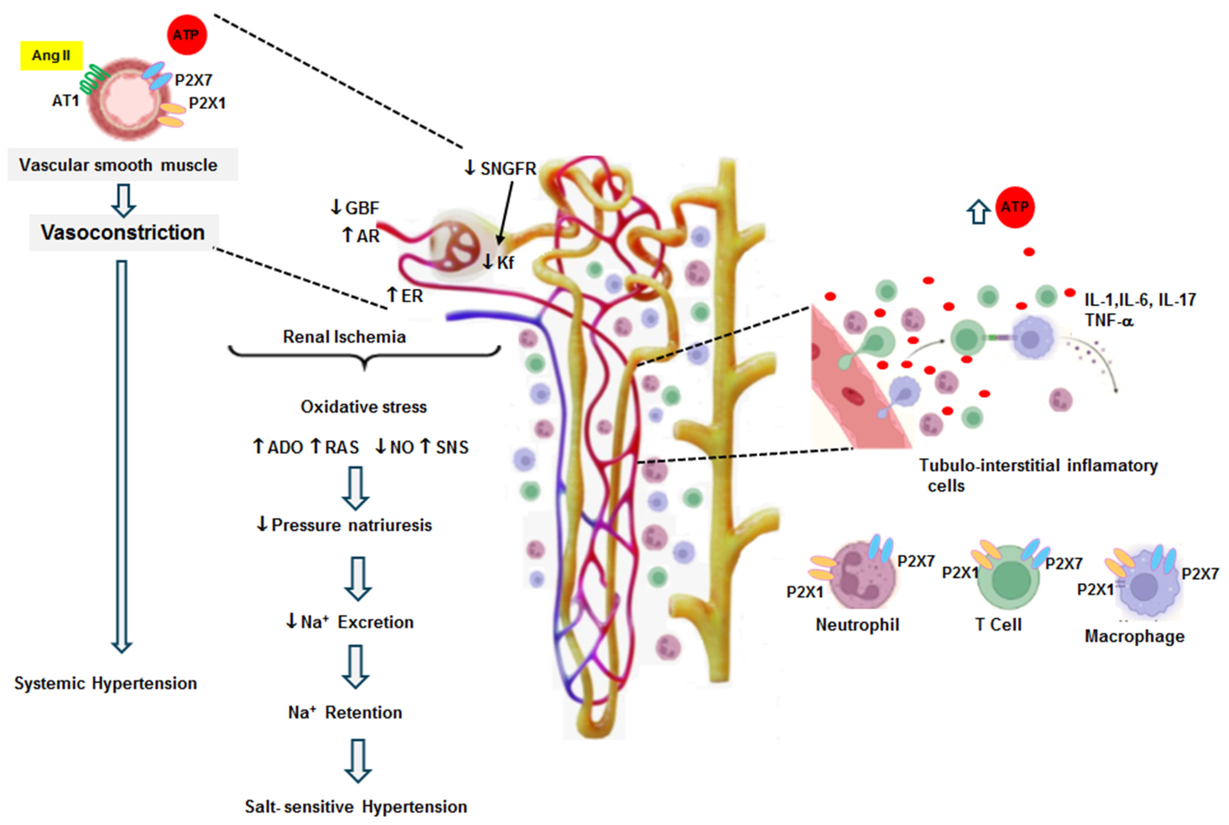 Pharmaceuticals 17 01060 g002