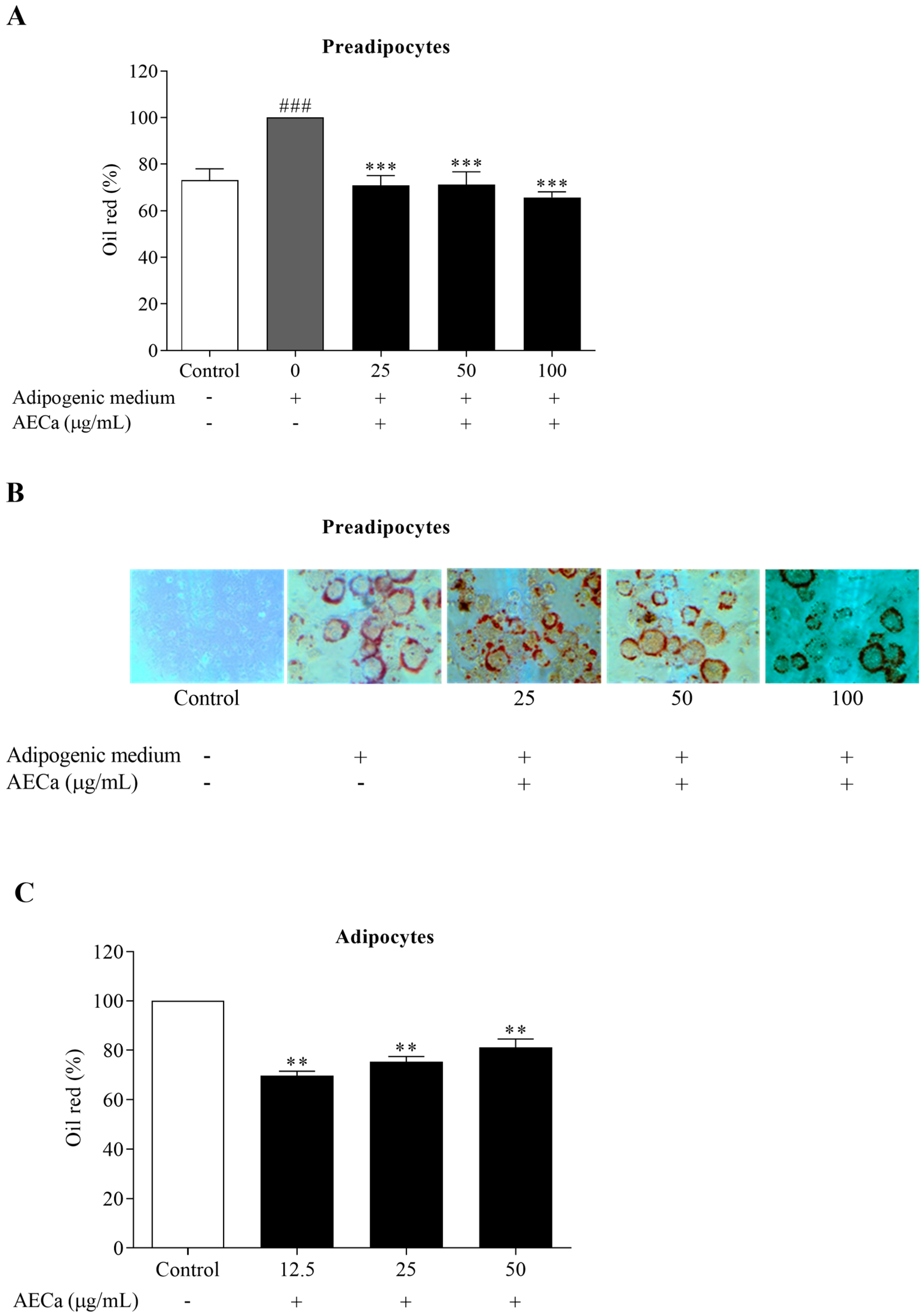 Pharmaceuticals 17 01062 g002