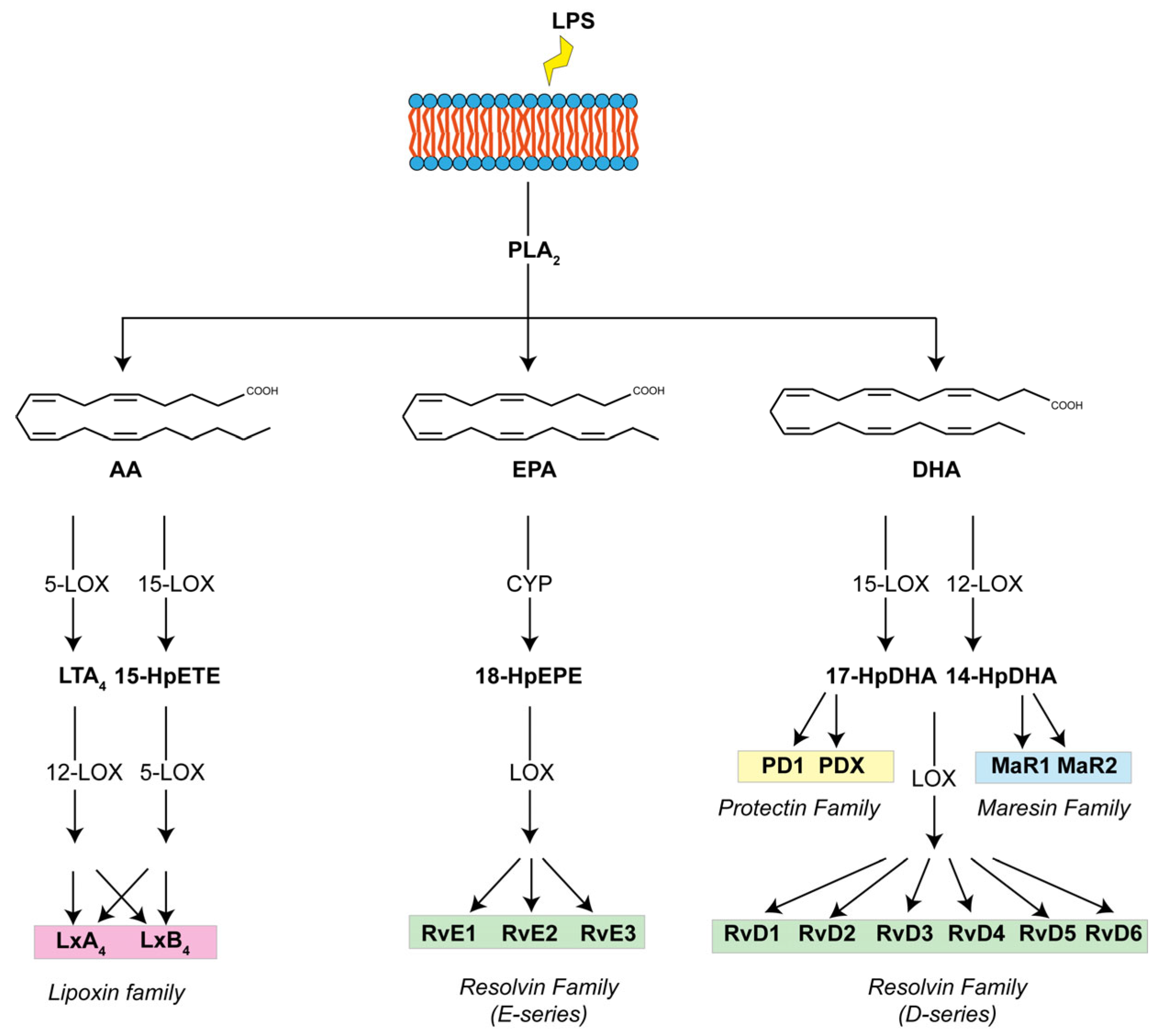 Pharmaceuticals 17 01066 g001