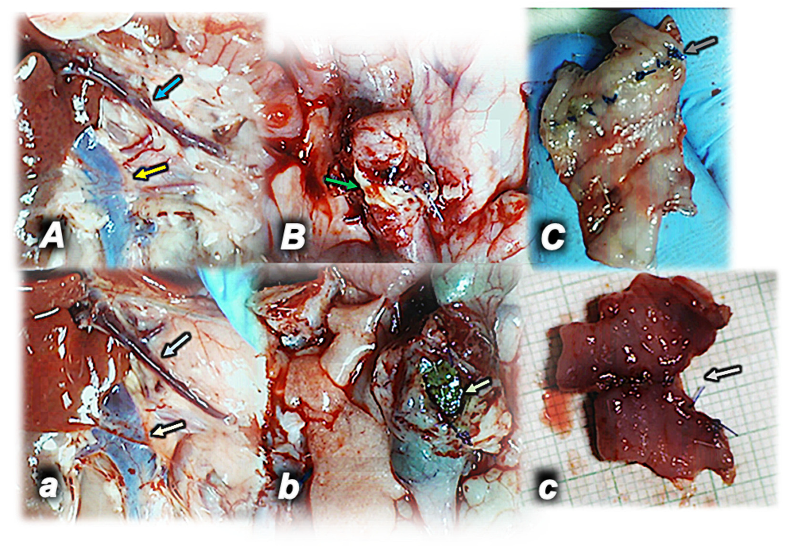 Pharmaceuticals 17 01081 g002