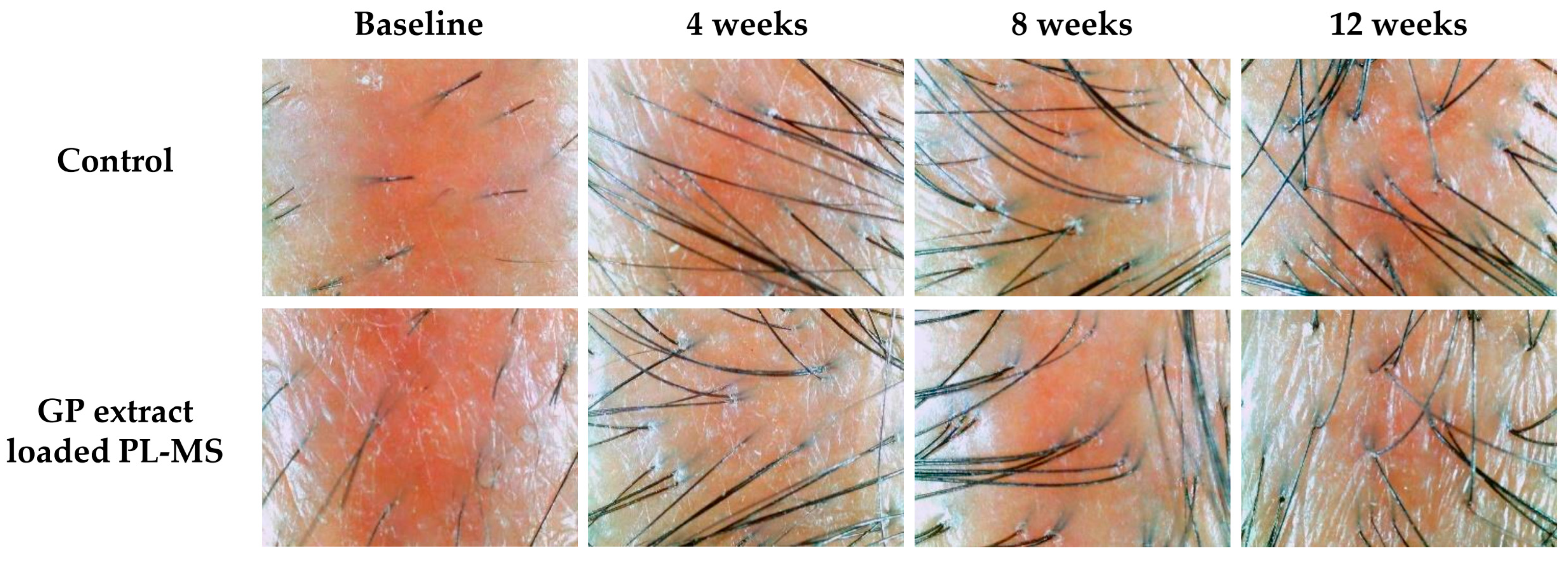 Pharmaceuticals 17 01084 g008