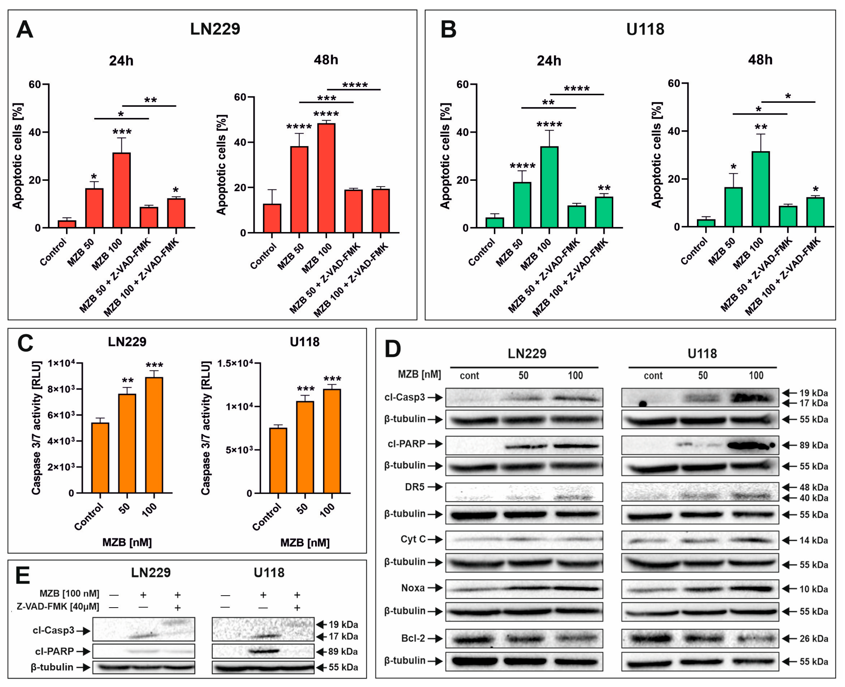 Pharmaceuticals 17 01089 g002