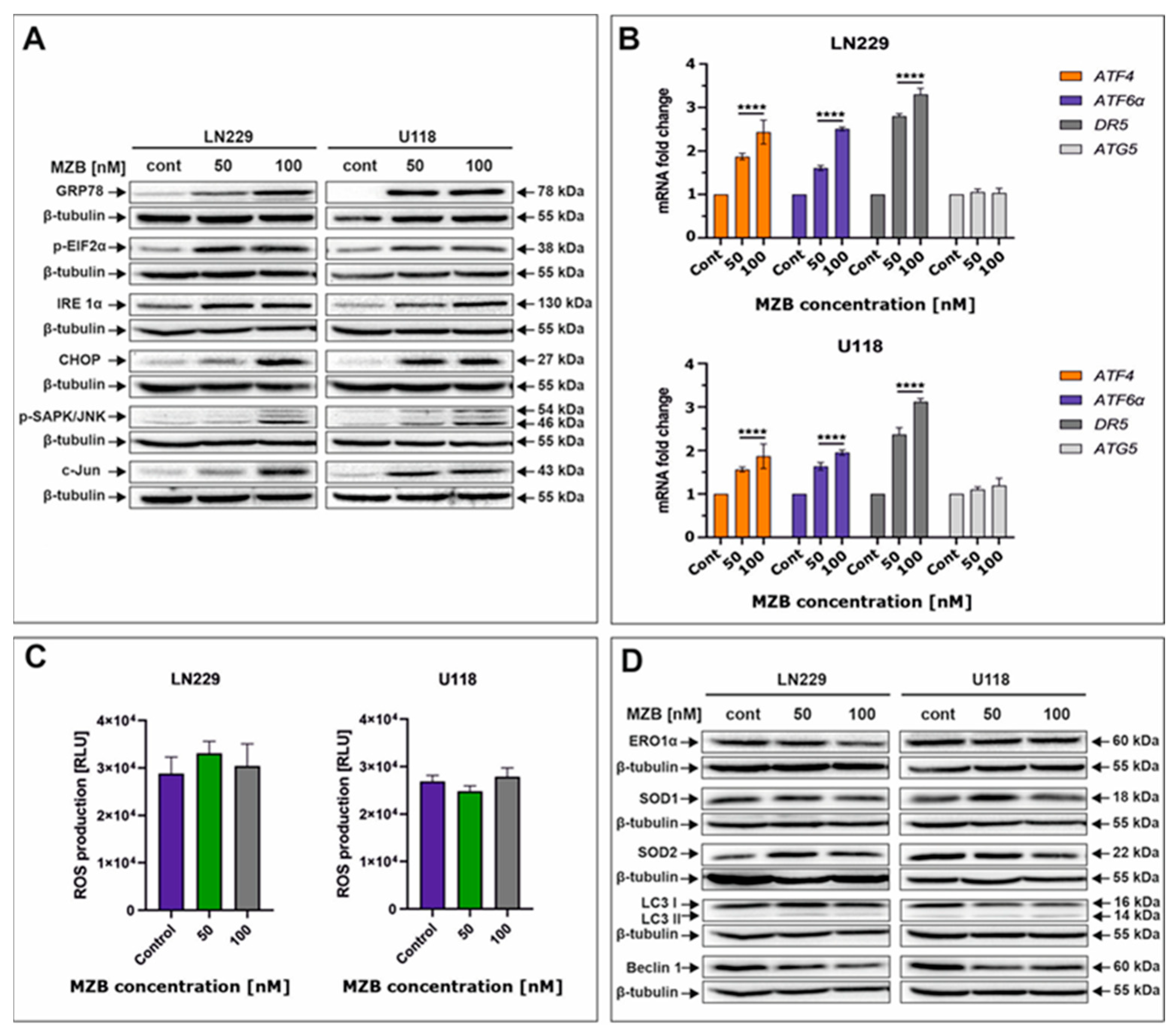 Pharmaceuticals 17 01089 g003