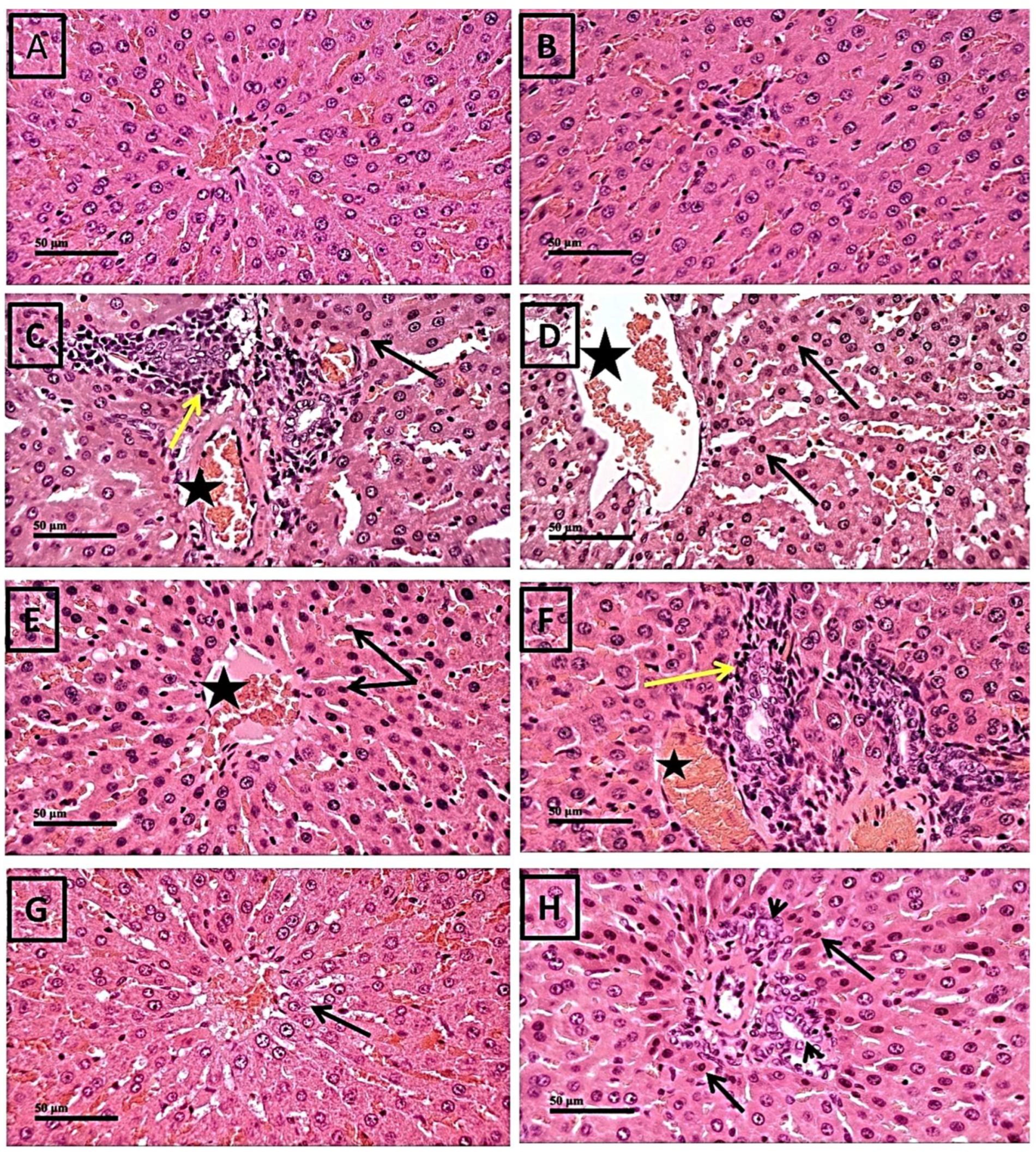 Pharmaceuticals 17 01094 g001