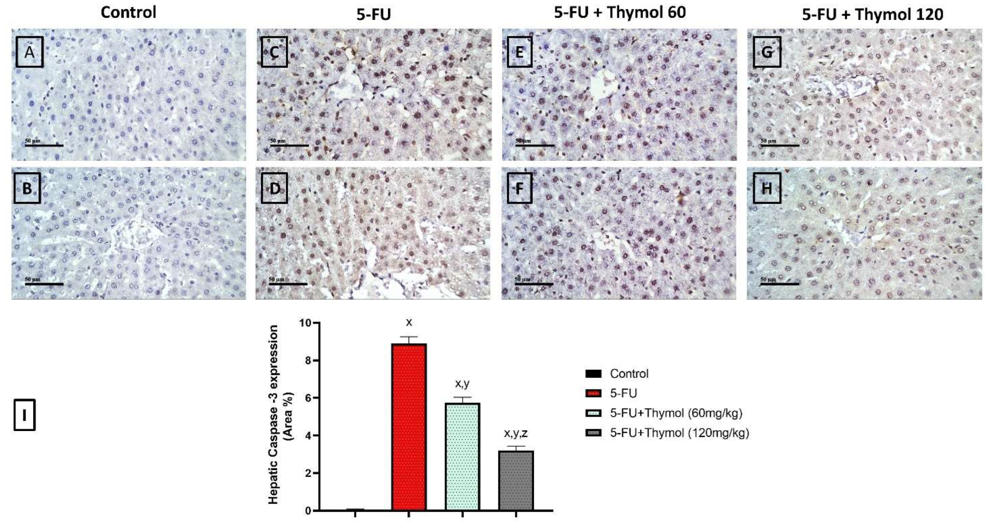 Pharmaceuticals 17 01094 g002