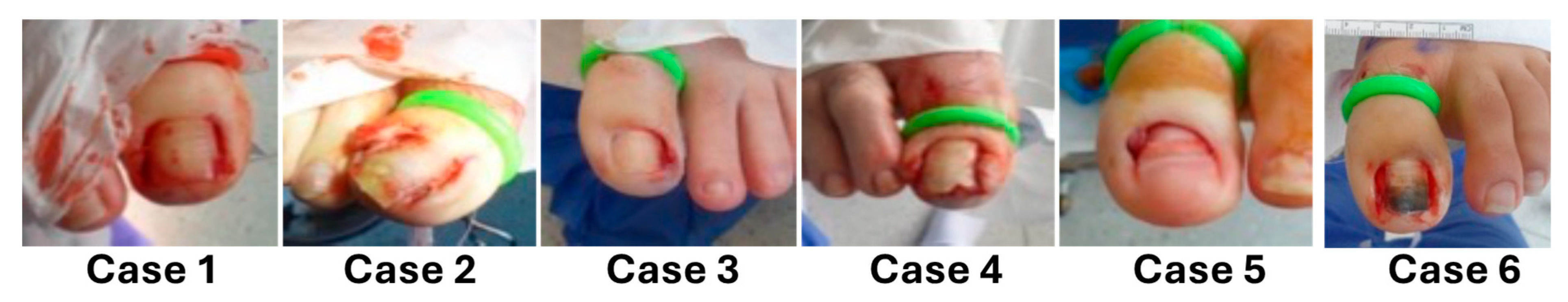 Pharmaceuticals 17 01111 g001