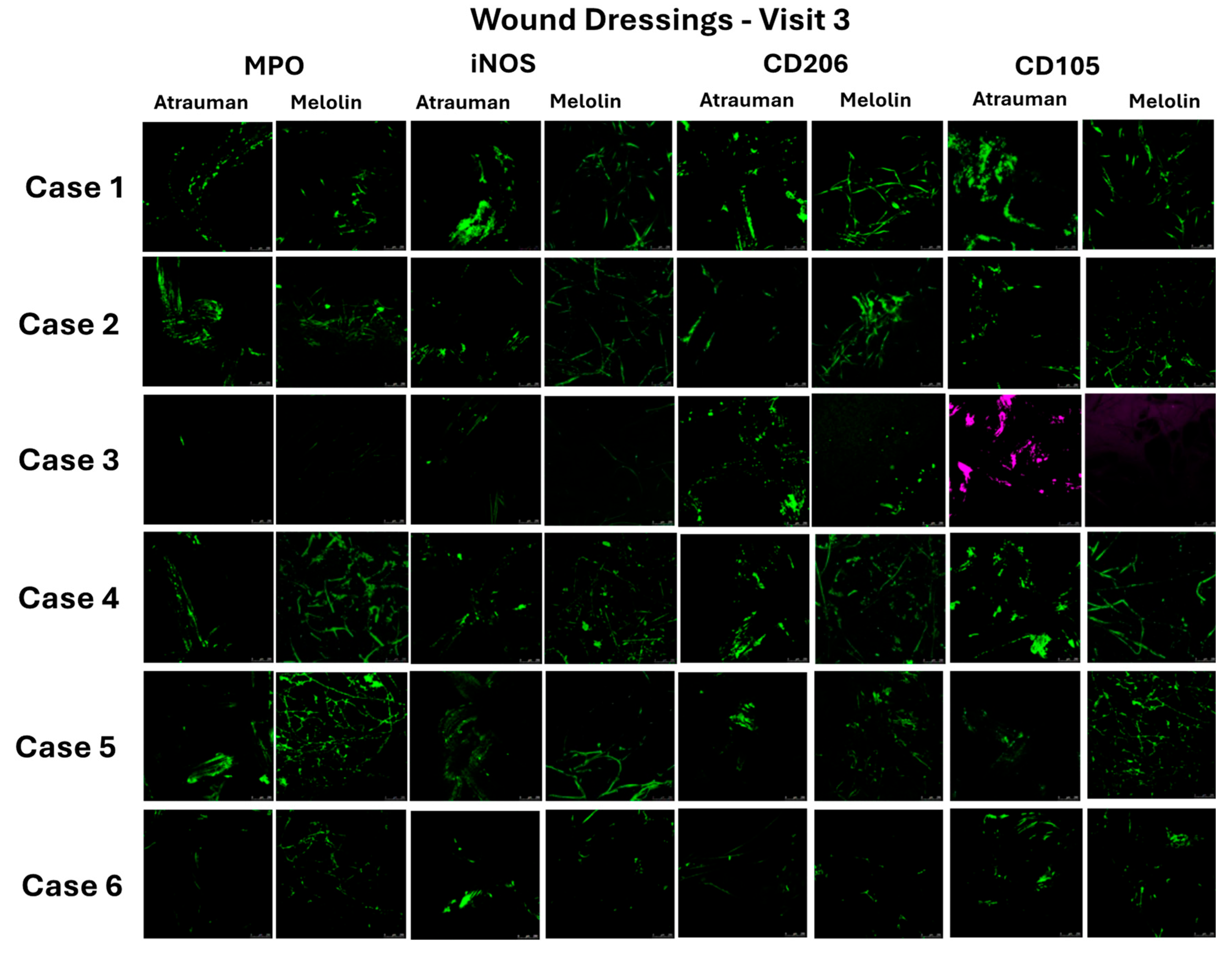 Pharmaceuticals 17 01111 g005