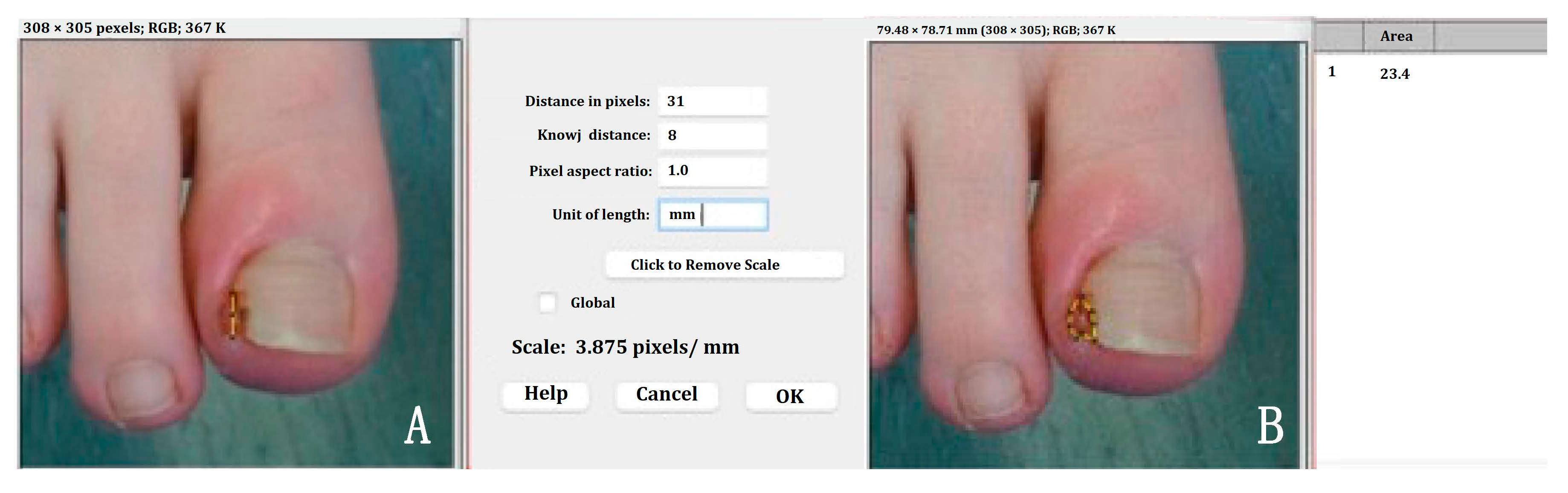 Pharmaceuticals 17 01111 g007