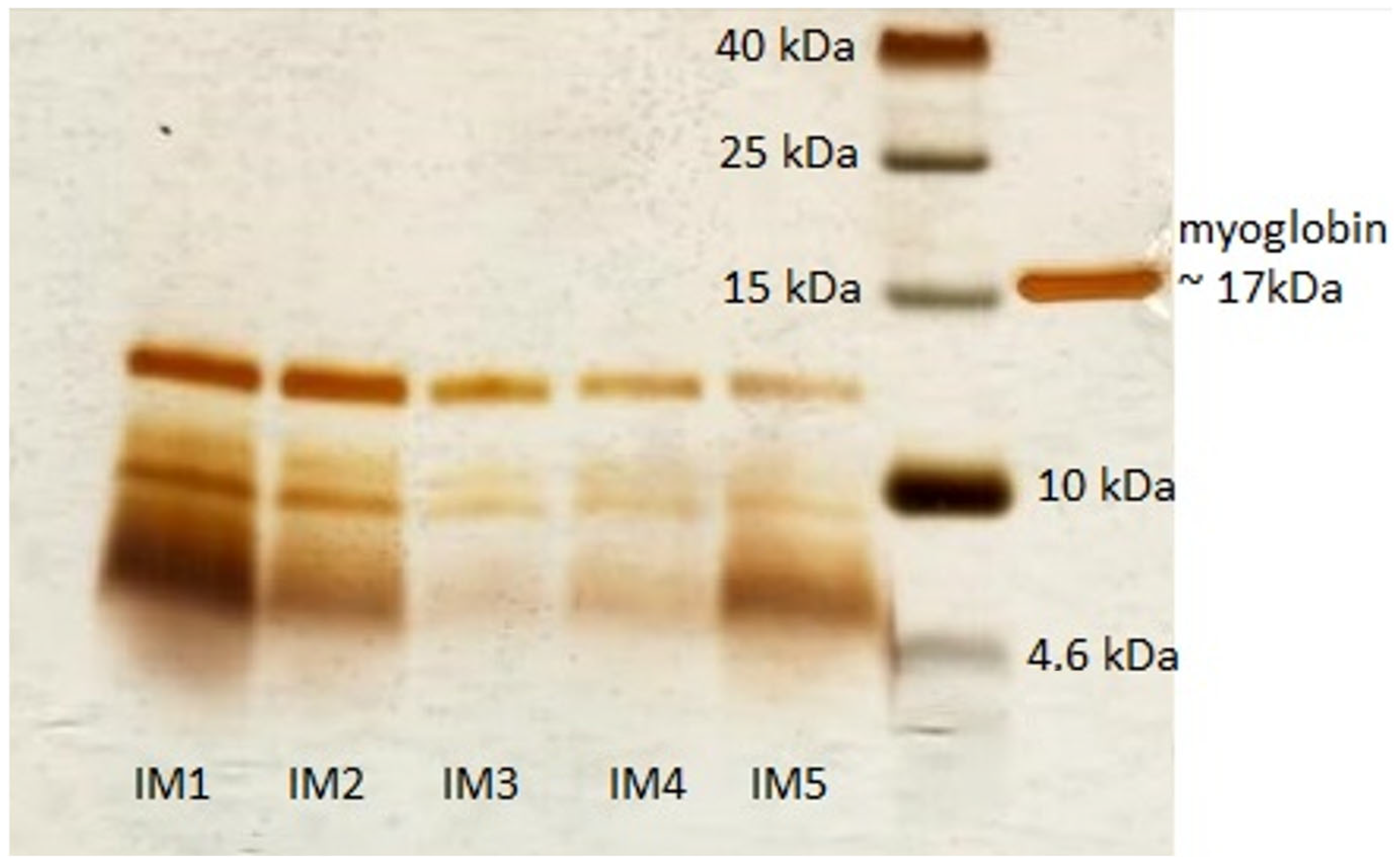 Pharmaceuticals 17 01114 g003 Pharmaceuticals 17 01114 g003