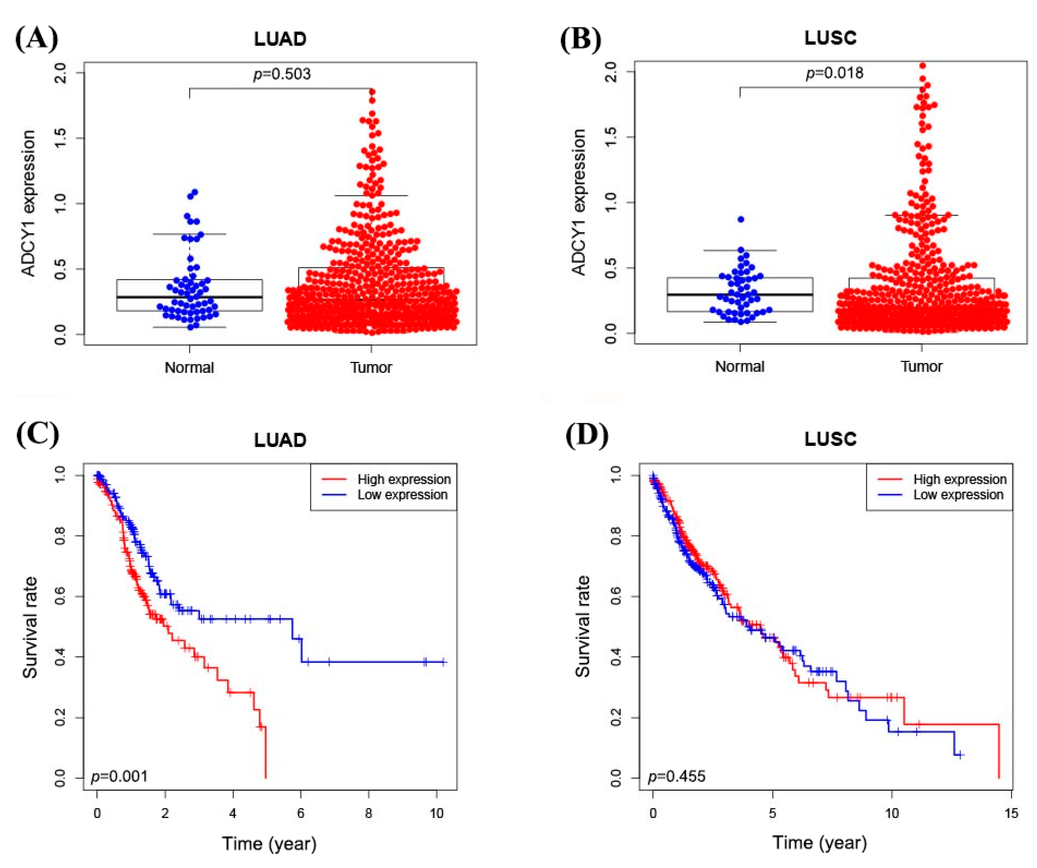 Pharmaceuticals 17 01118 g001