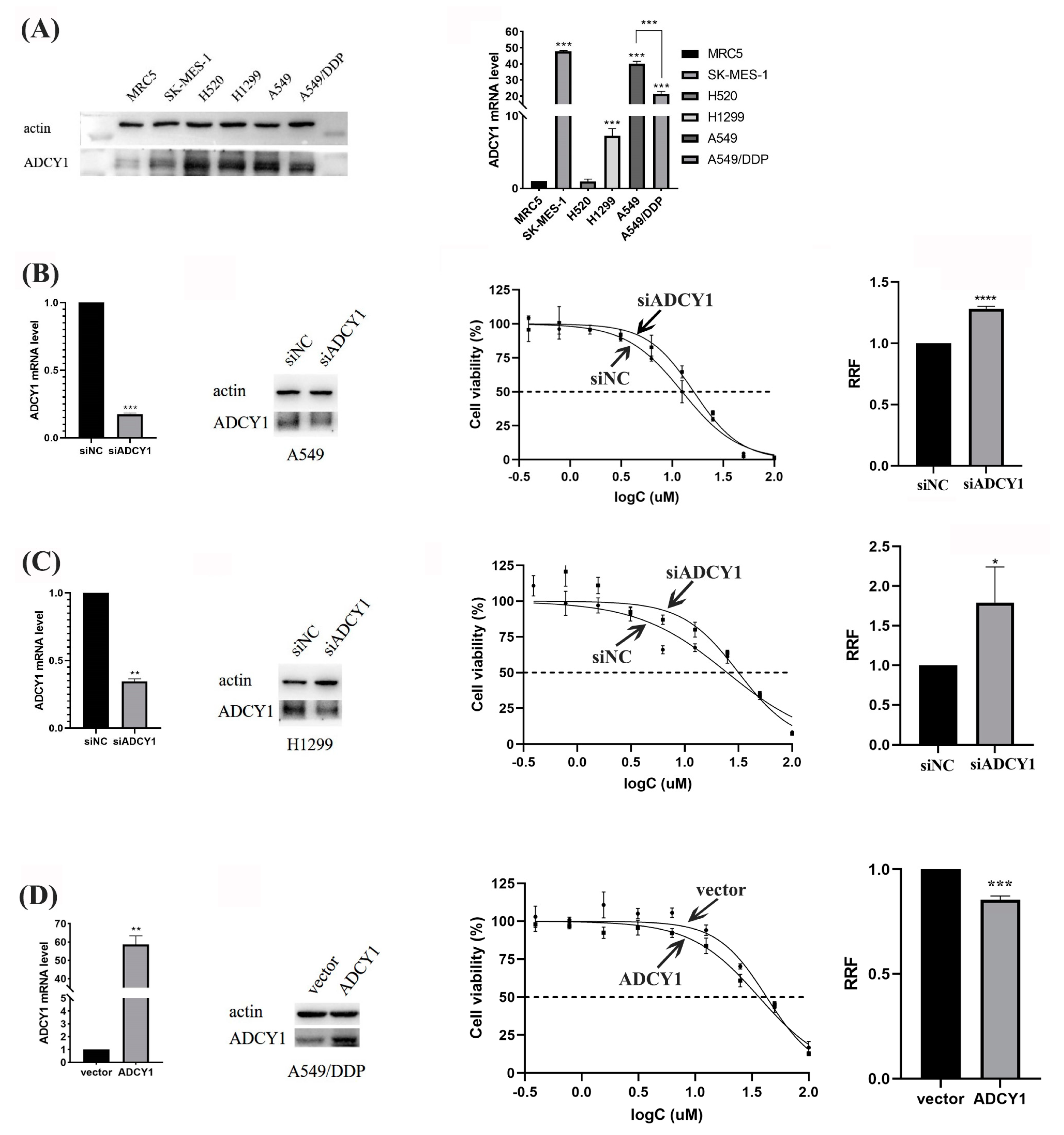 Pharmaceuticals 17 01118 g002