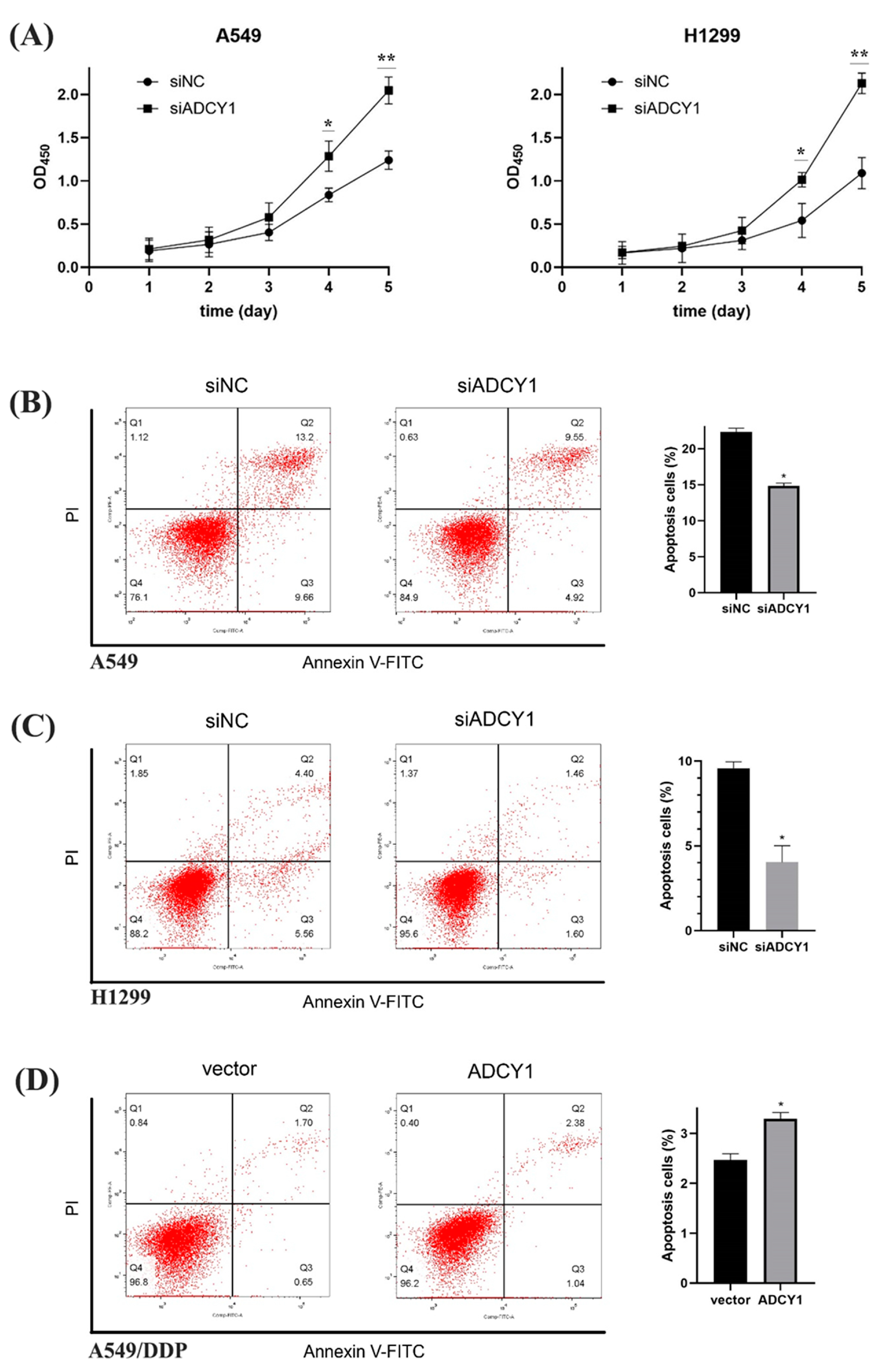 Pharmaceuticals 17 01118 g003
