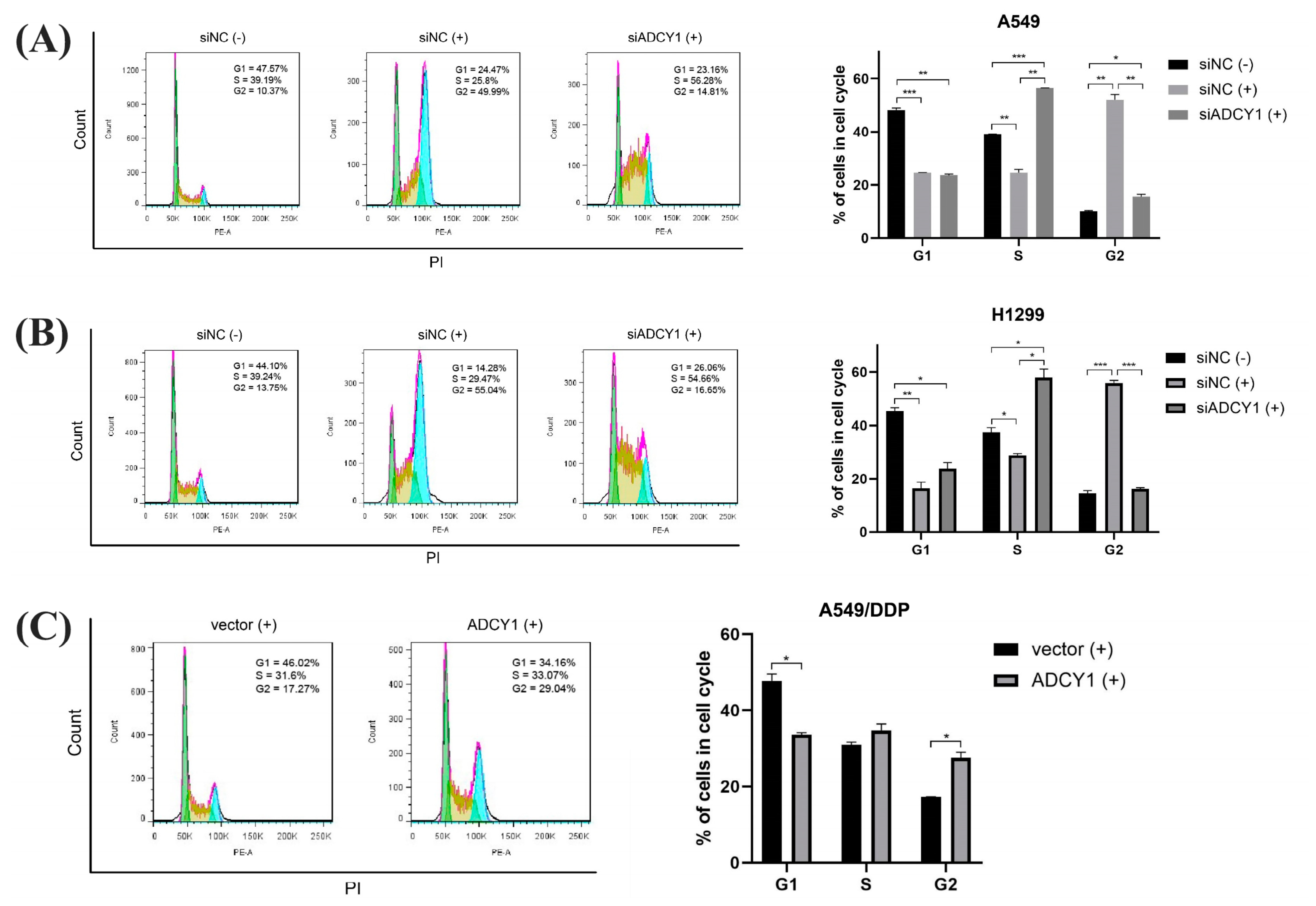 Pharmaceuticals 17 01118 g004
