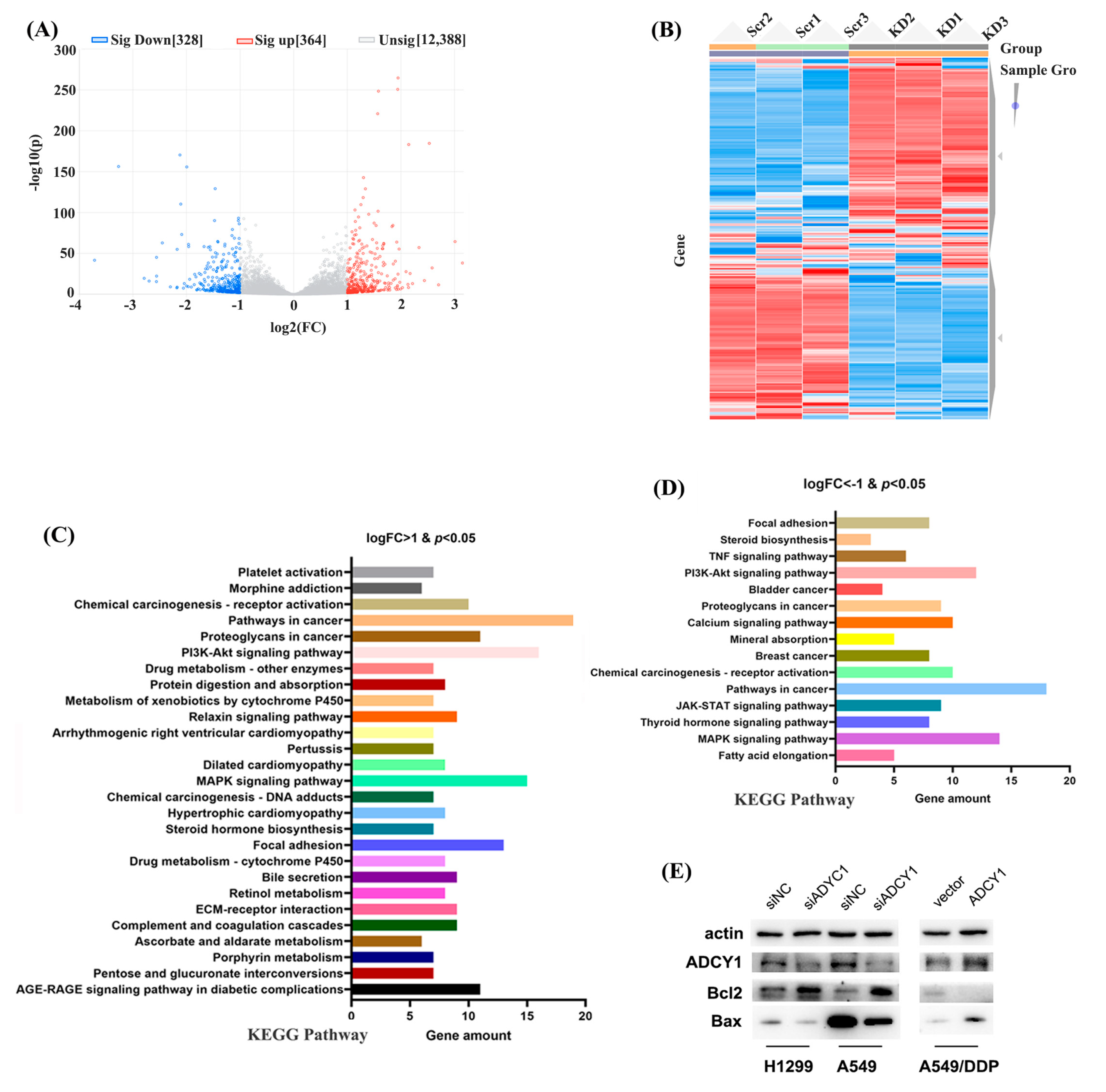 Pharmaceuticals 17 01118 g005