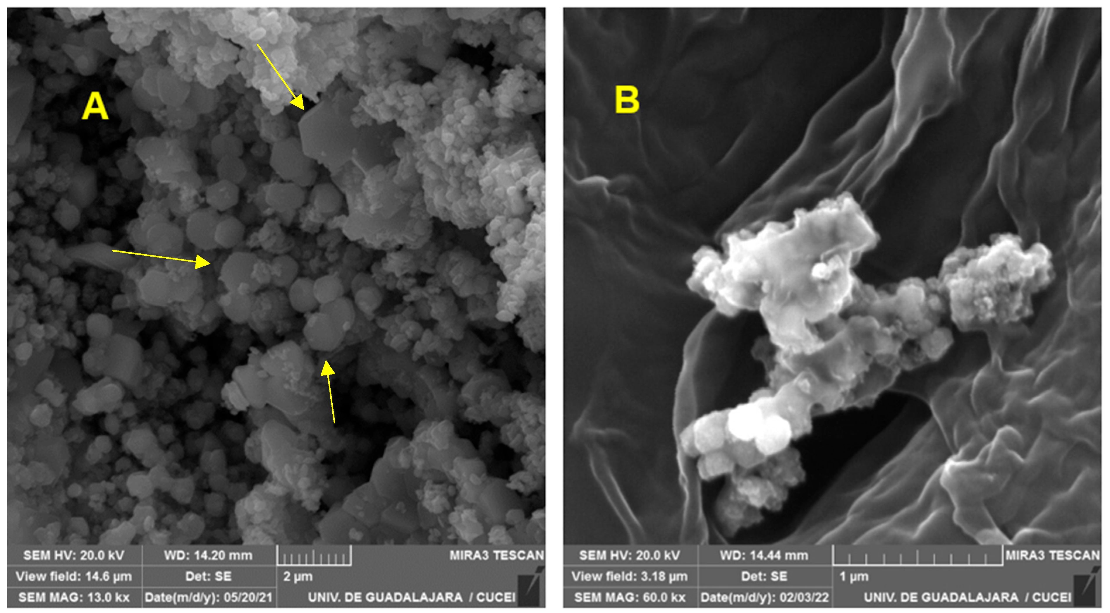Pharmaceuticals 17 01124 g001