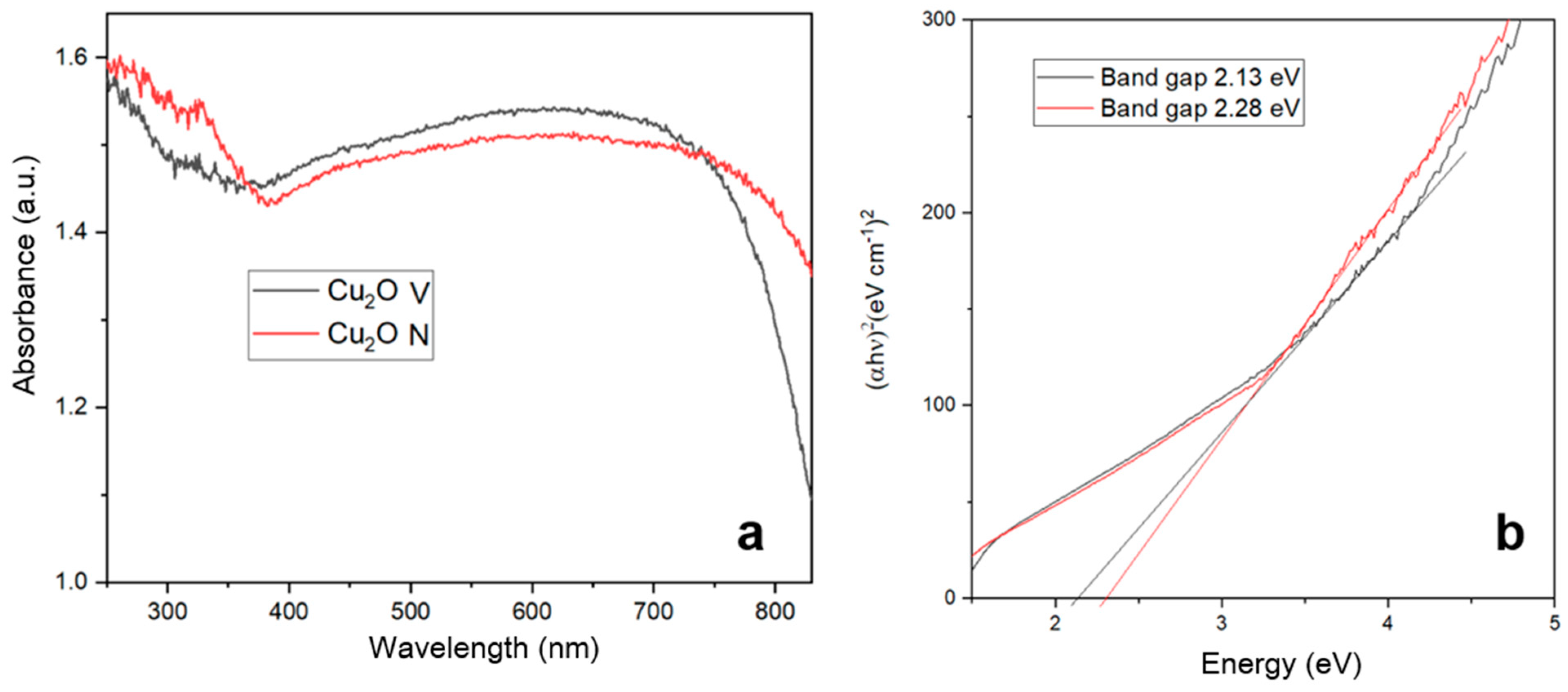 Pharmaceuticals 17 01124 g004