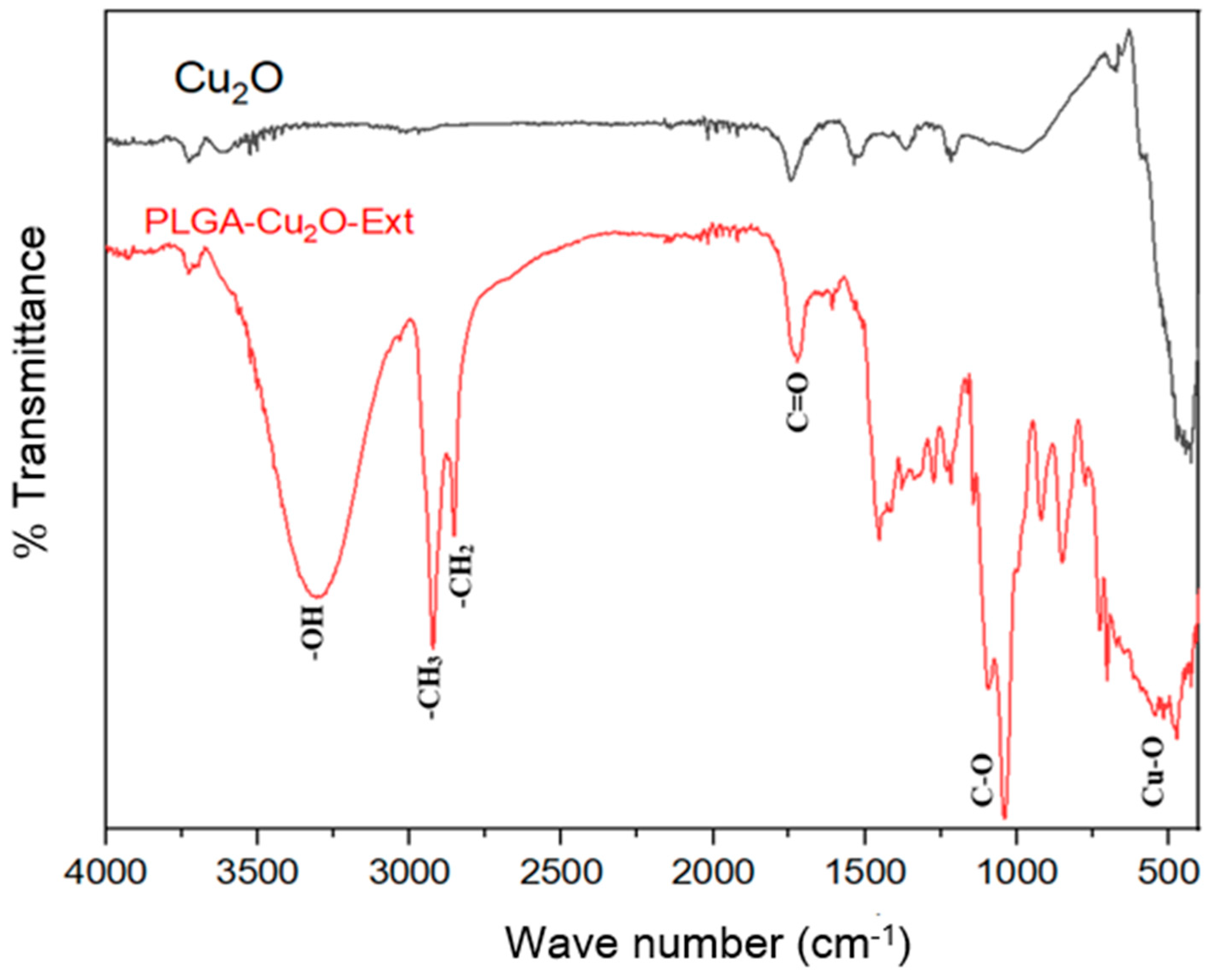 Pharmaceuticals 17 01124 g005