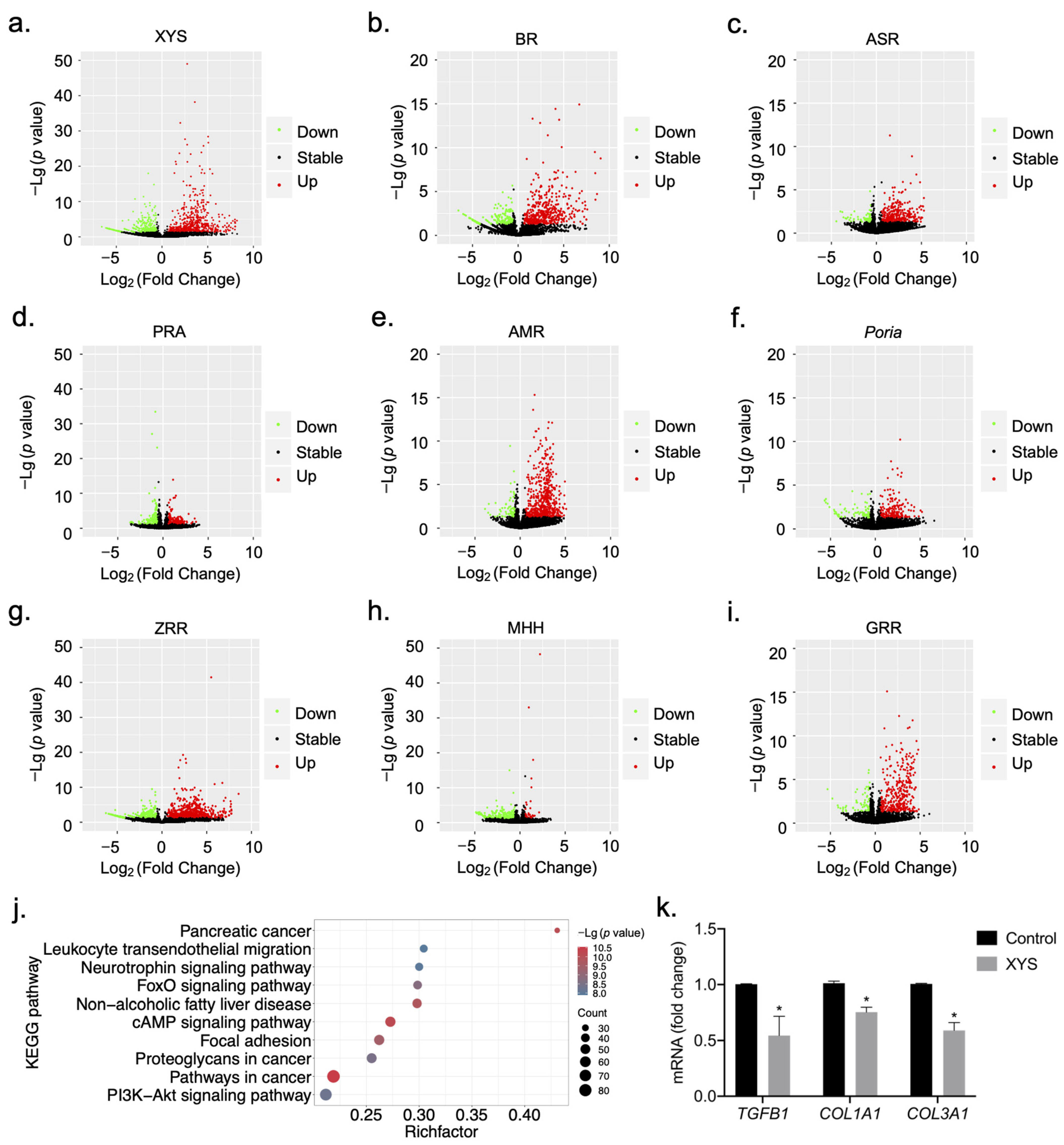 Pharmaceuticals 17 01128 g002