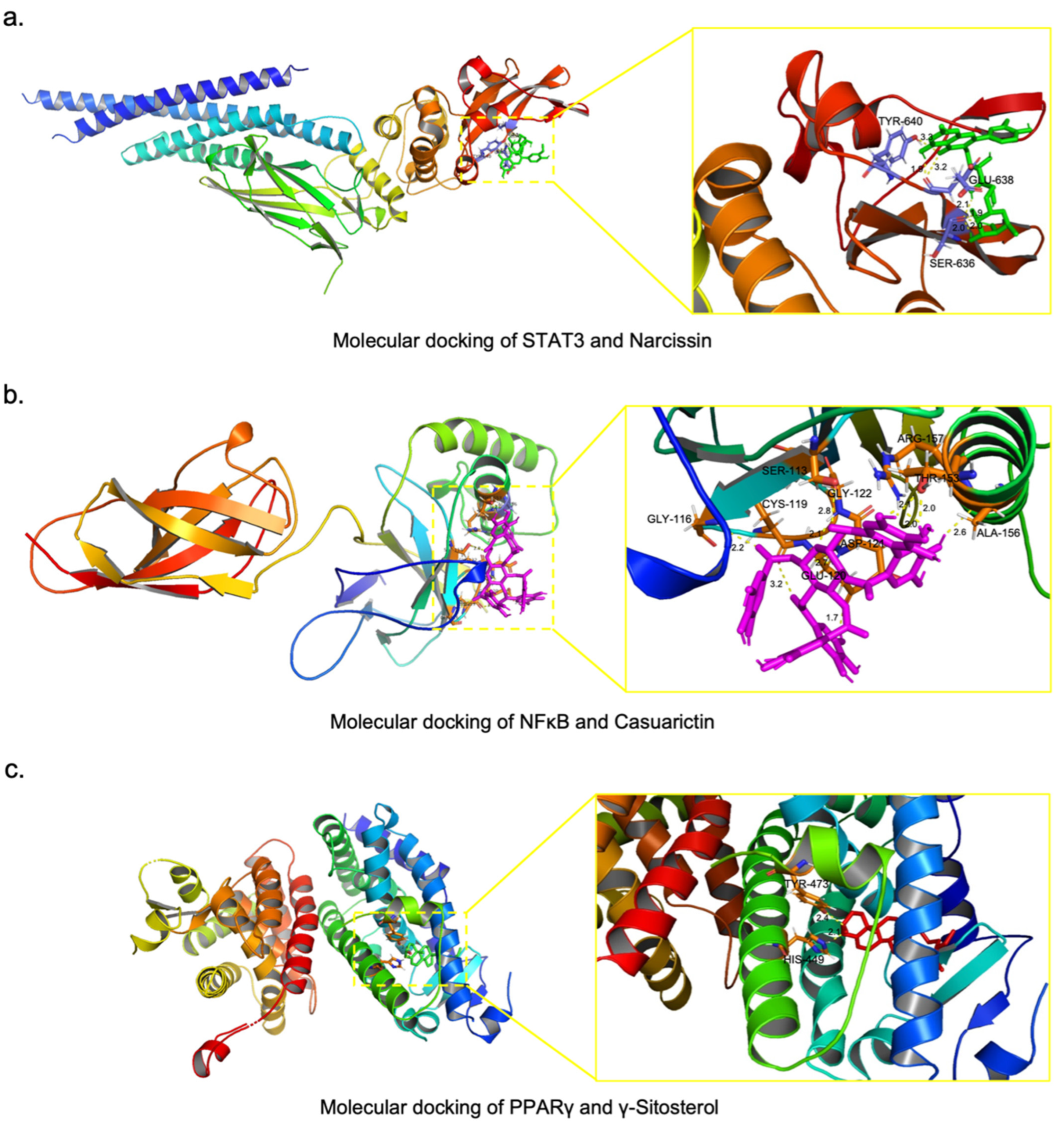 Pharmaceuticals 17 01128 g008