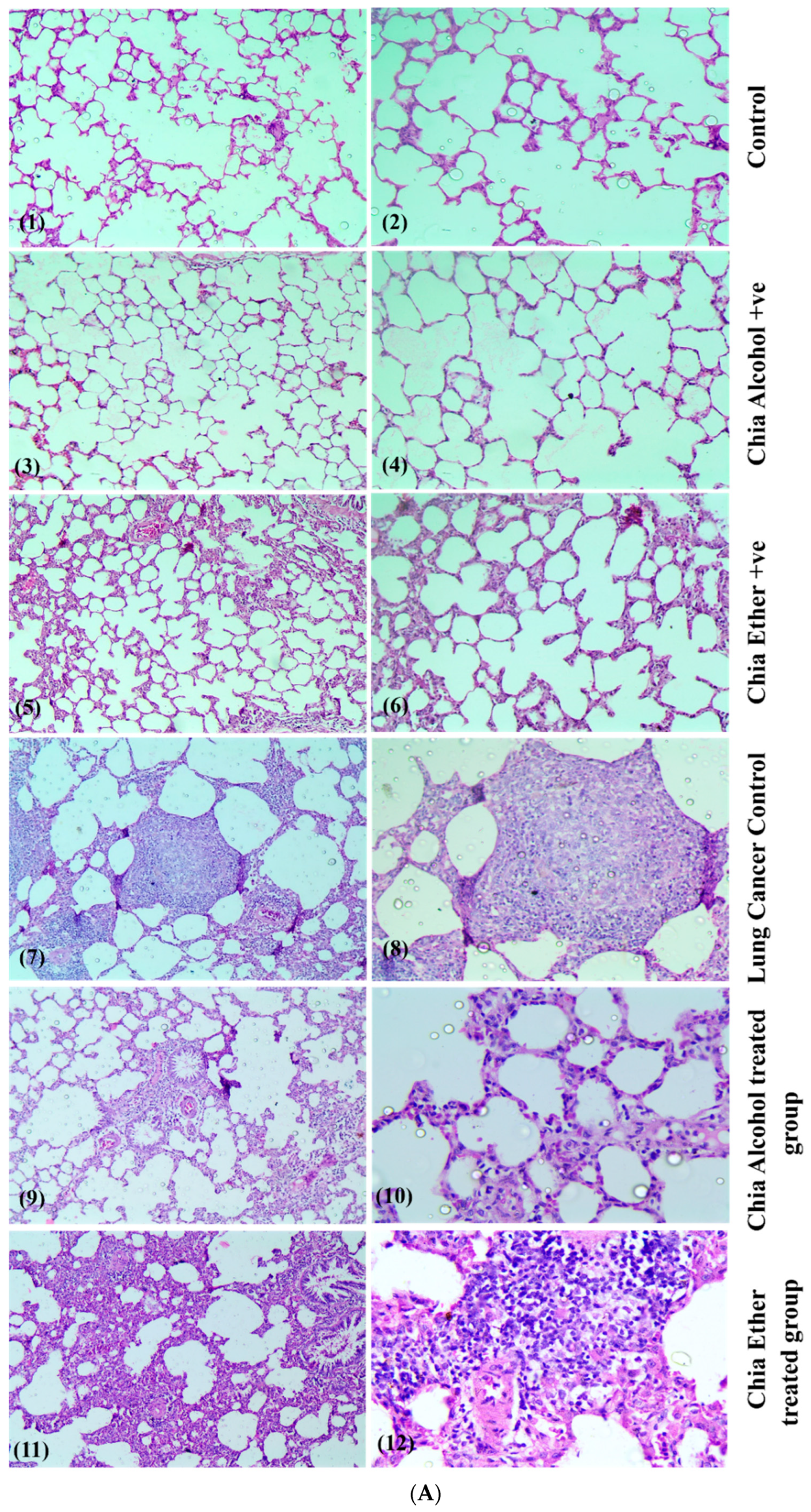 Pharmaceuticals 17 01129 g004a