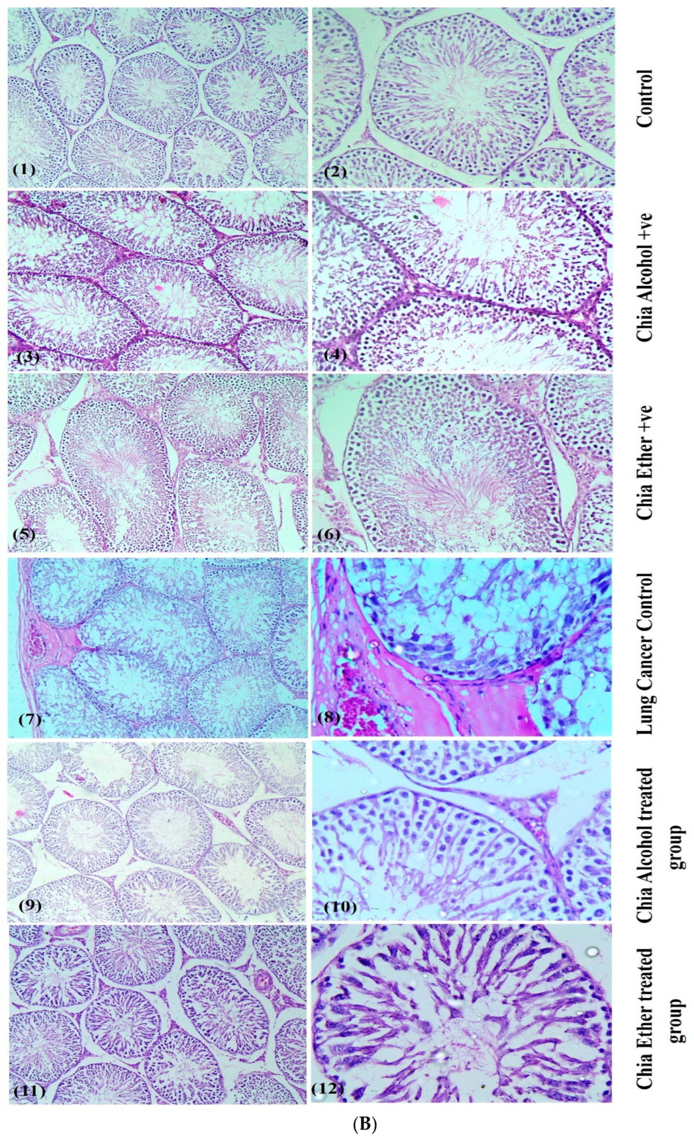 Pharmaceuticals 17 01129 g004b