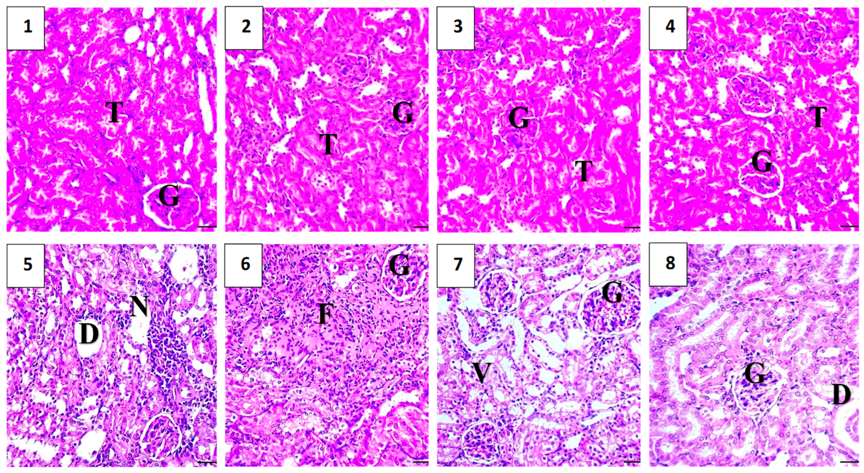 Pharmaceuticals 17 01144 g010