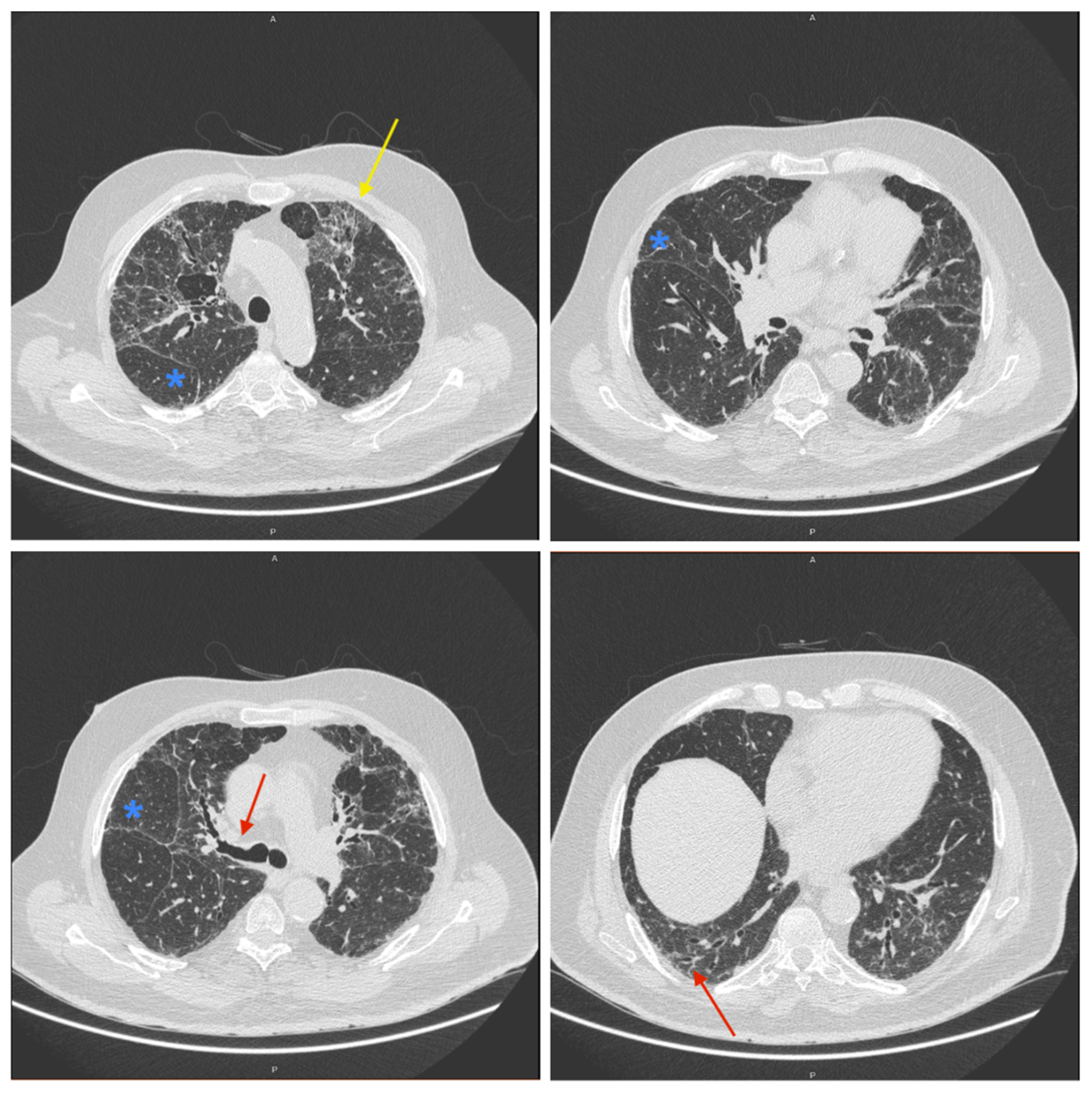 Pharmaceuticals 17 01147 g002