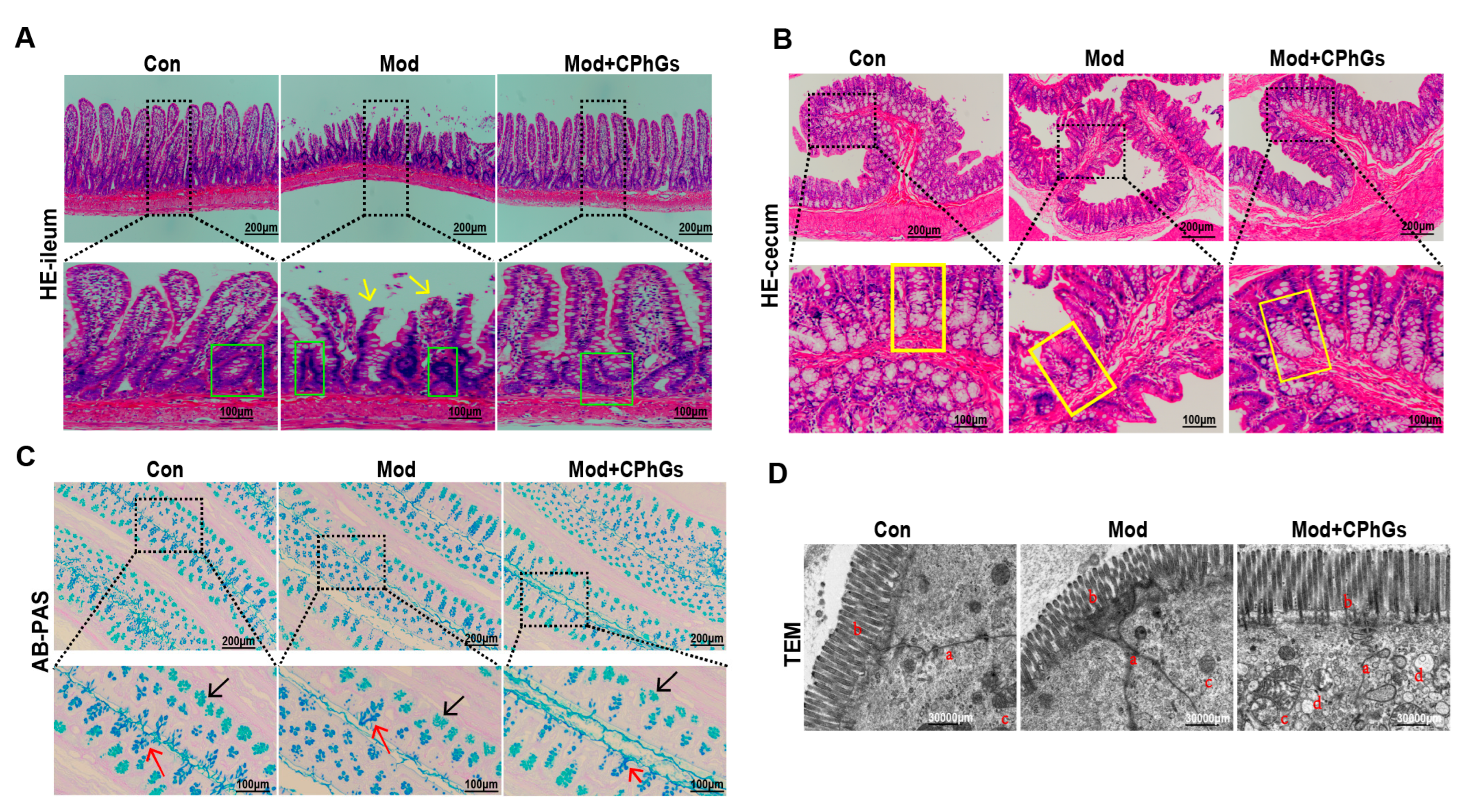 Pharmaceuticals 17 01149 g003