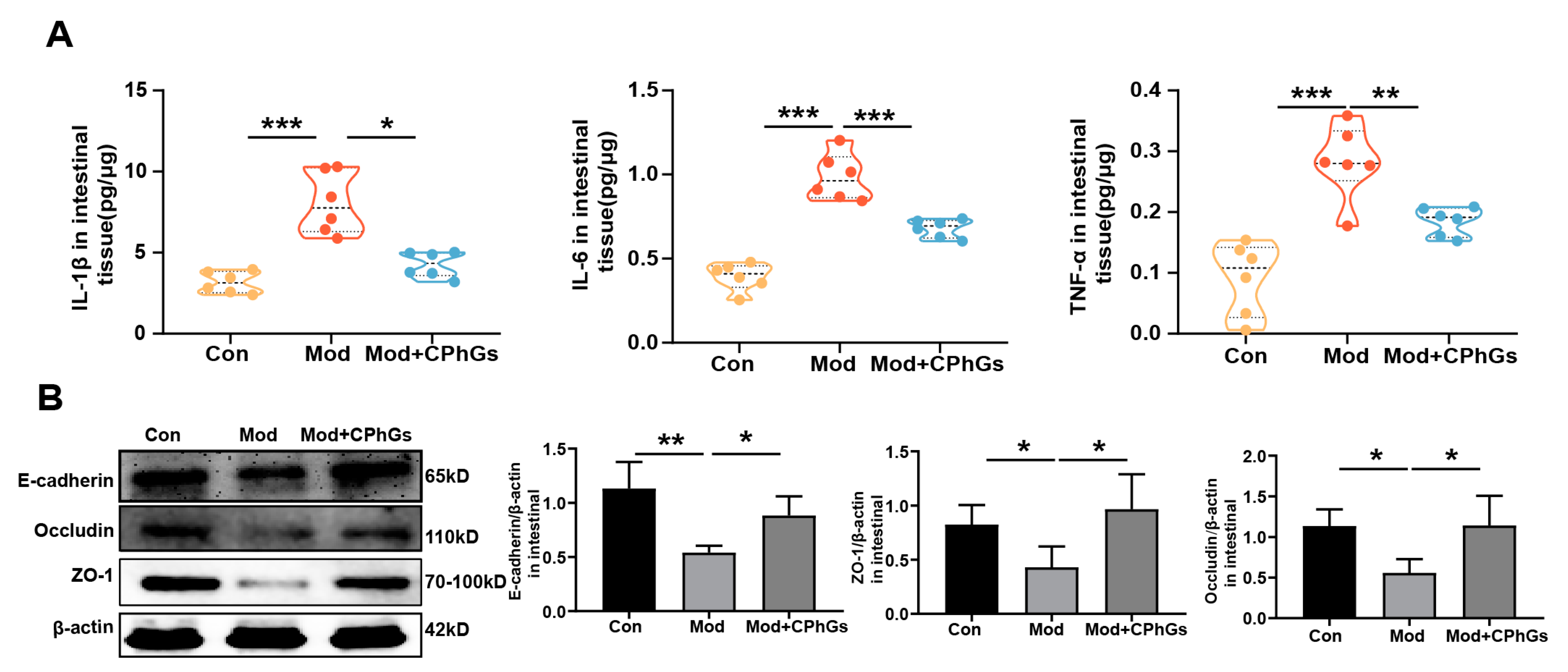 Pharmaceuticals 17 01149 g004